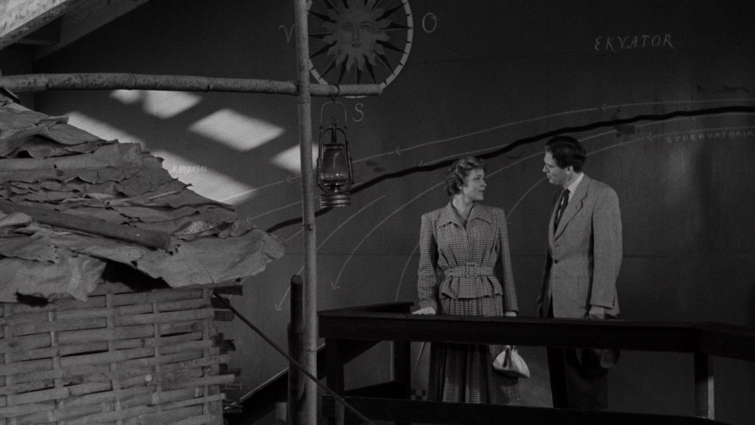 Backdrop for The Disappearance of a Young Wife