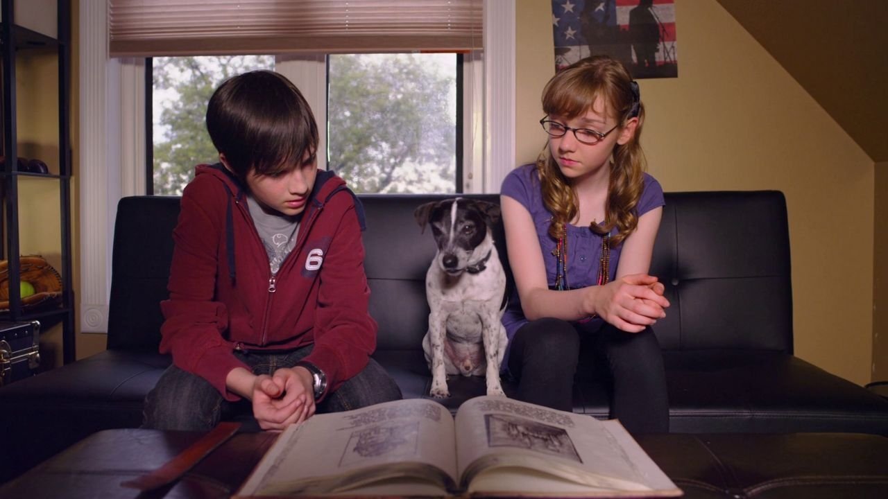 Backdrop for Vampire Dog