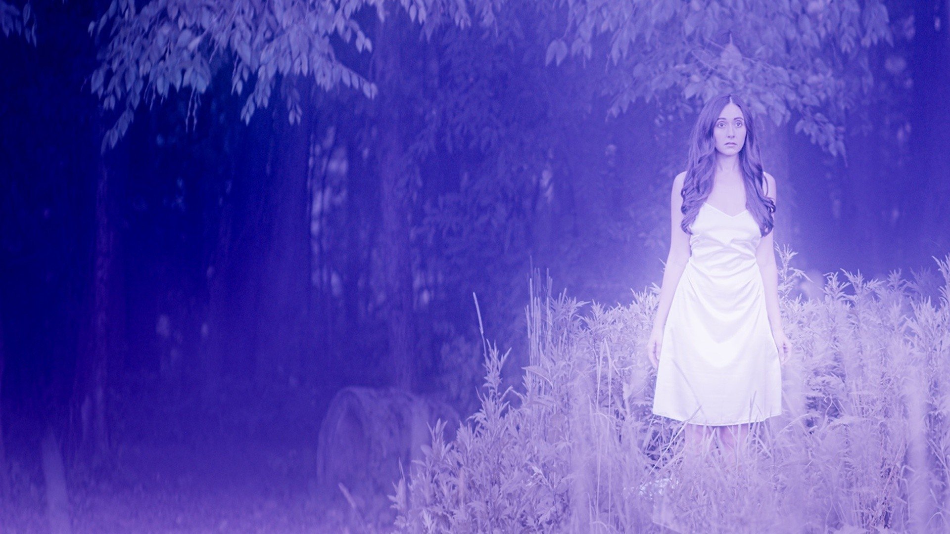 Backdrop for Wilting Rose