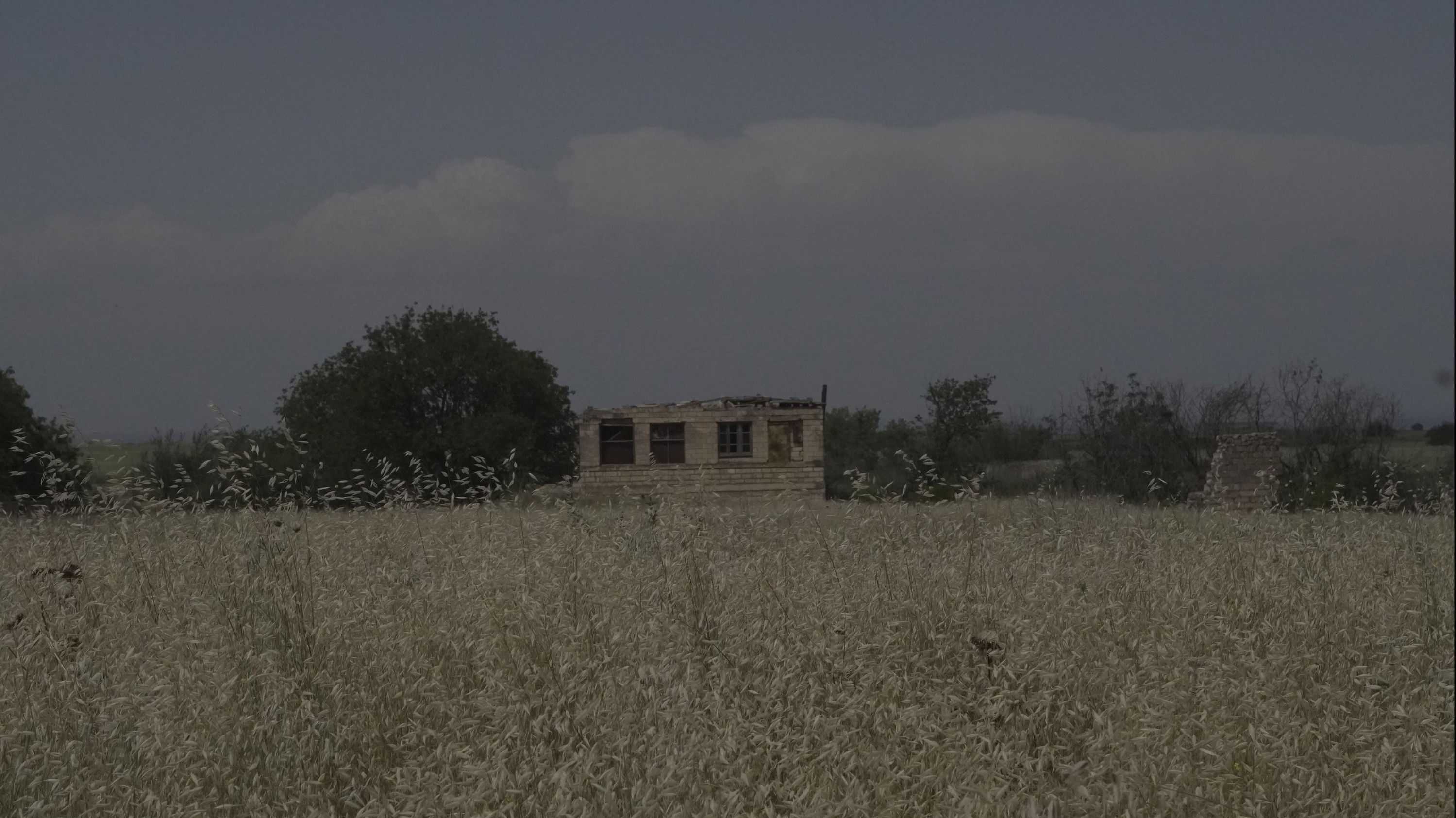 Backdrop for Ones Left Behind