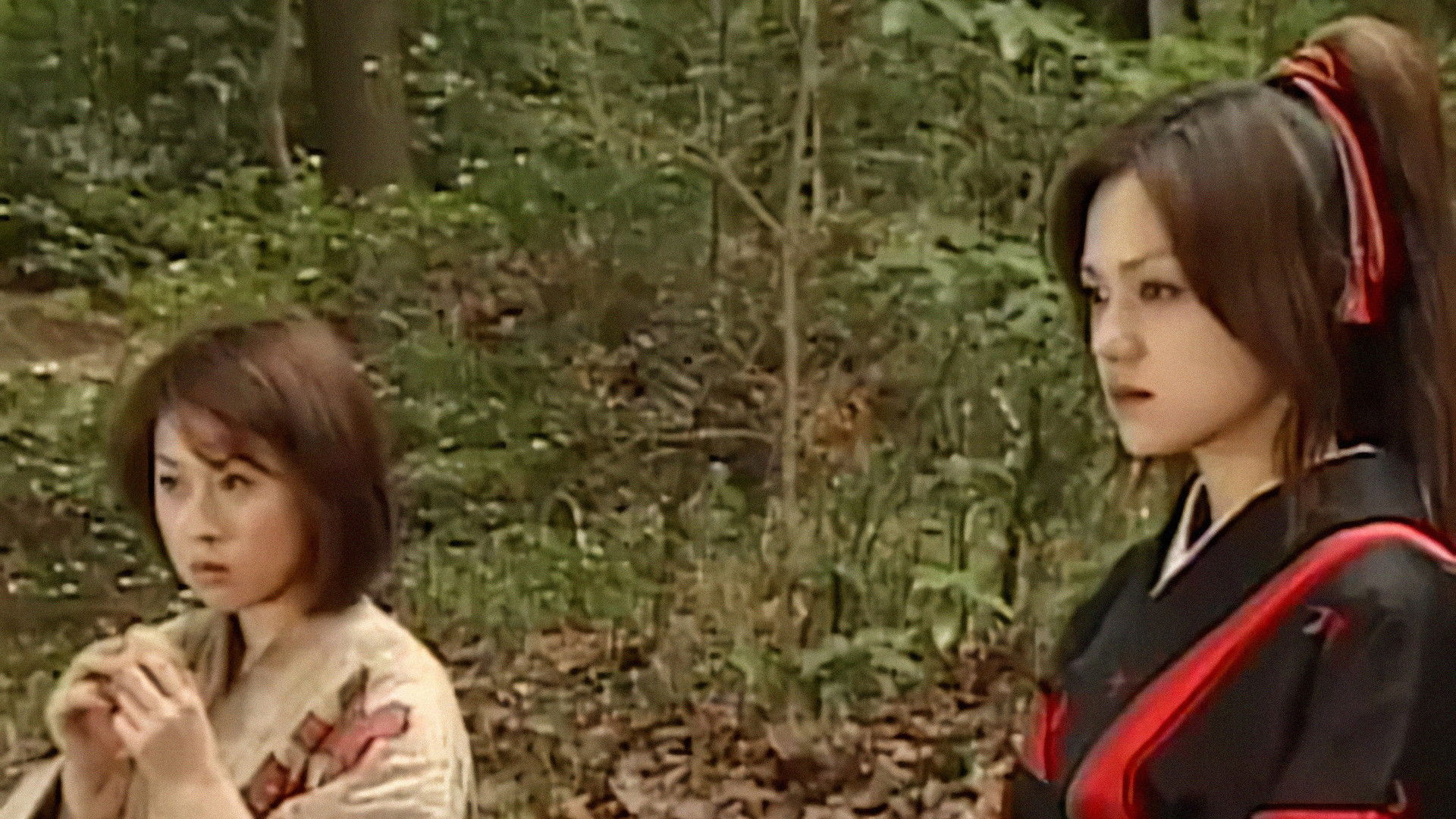 Backdrop for Ninja Vixens: Devilish Angels