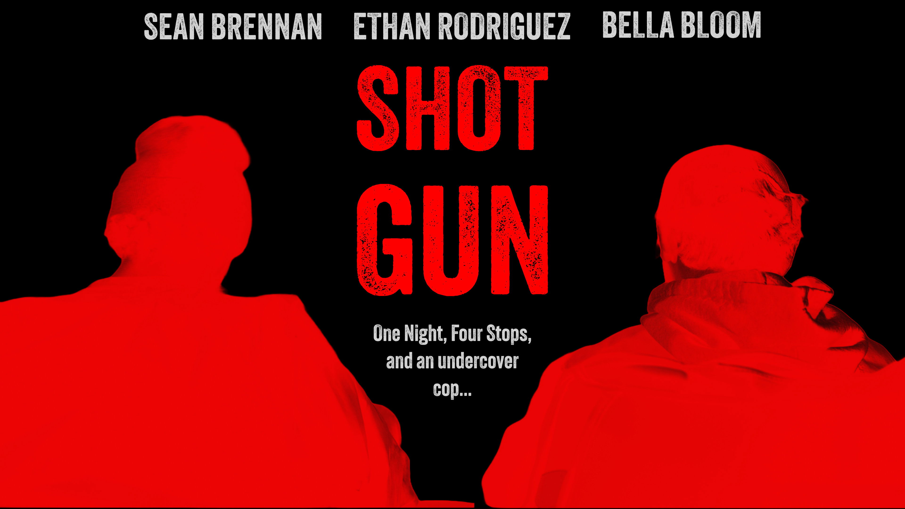 Backdrop for Shotgun