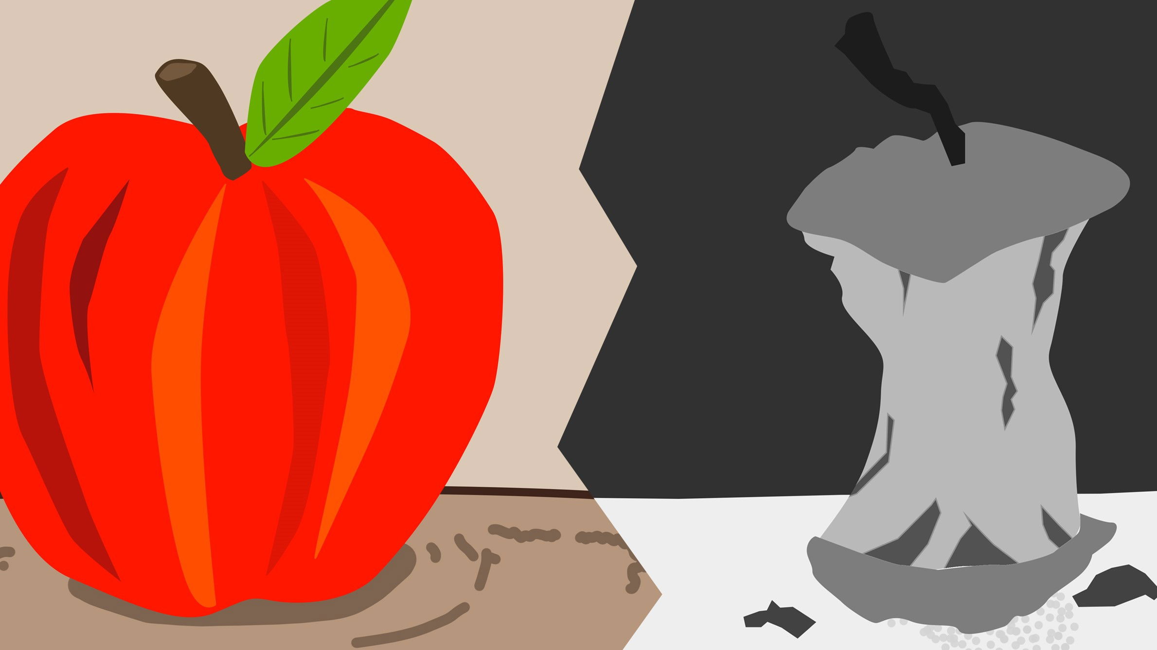 Backdrop for ANTEATER