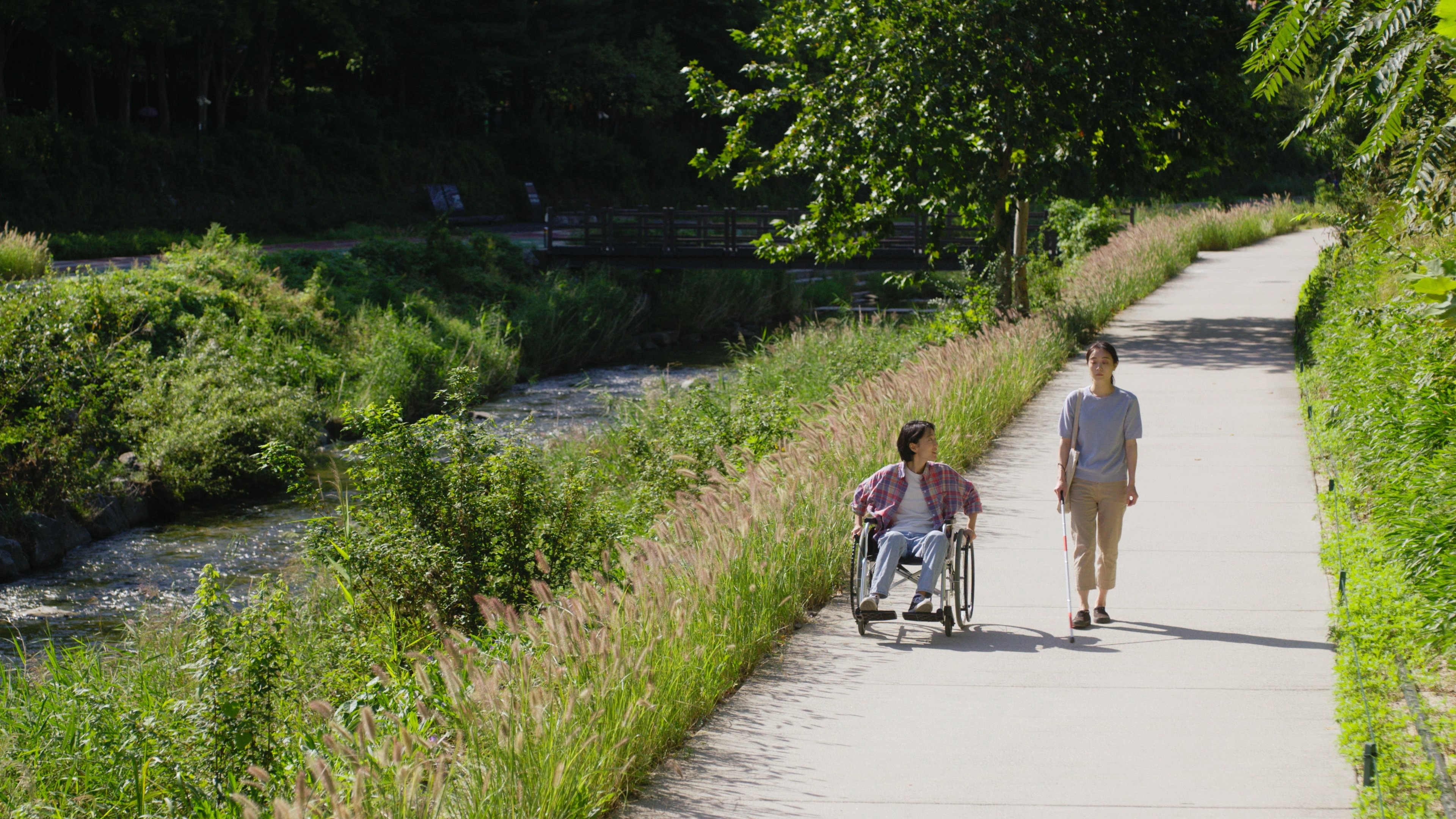 Backdrop for An Ordinary Day