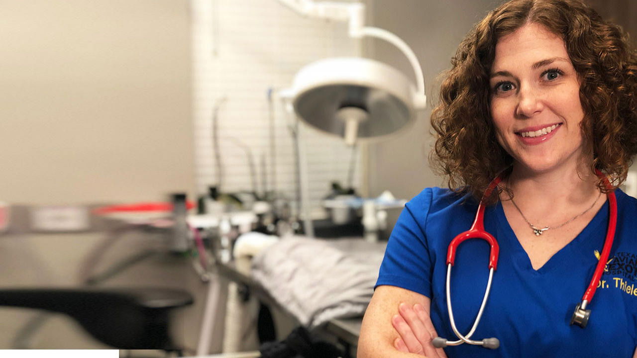 Backdrop for Dr. T, Lone Star Vet