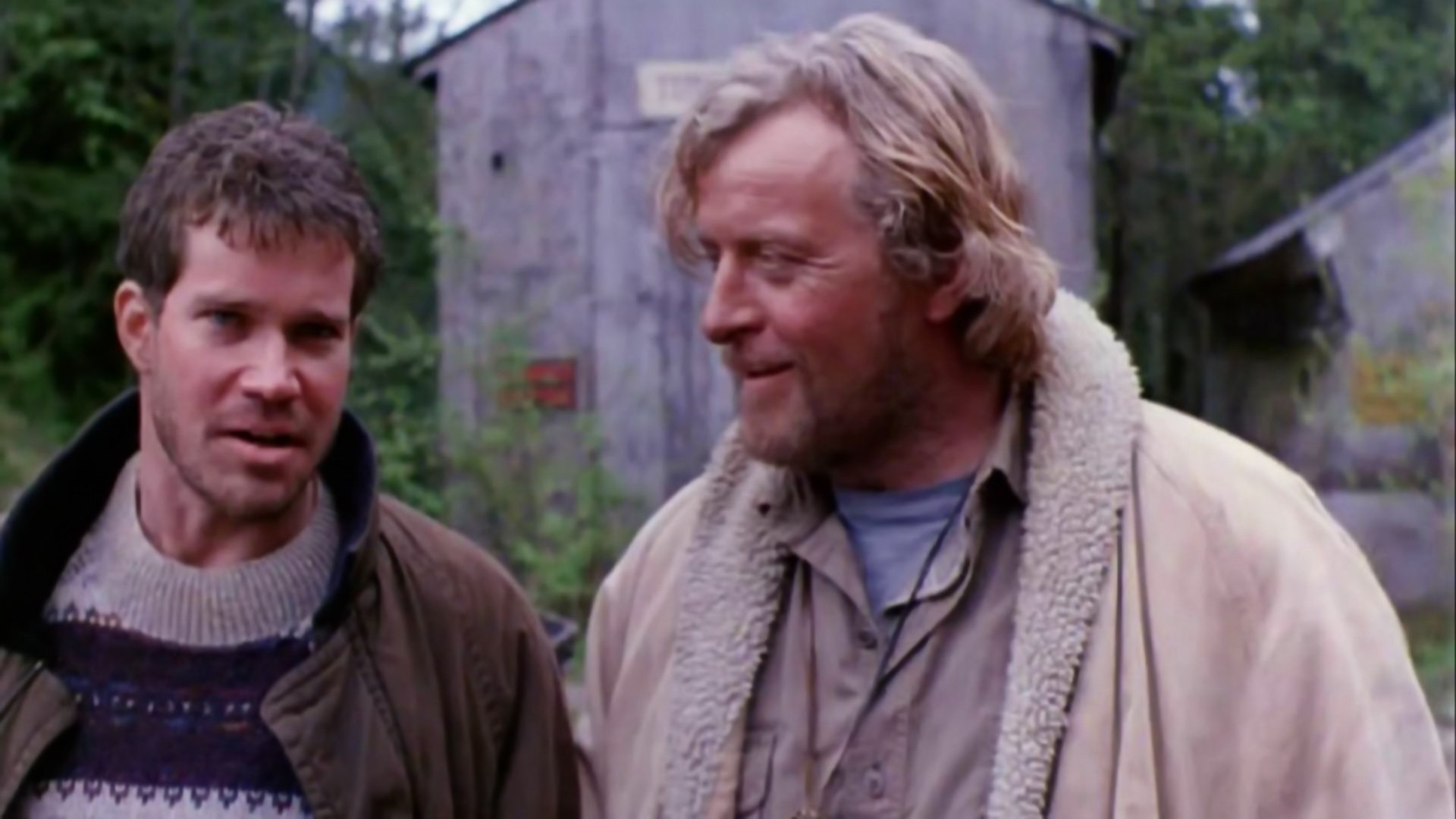 Backdrop for Arctic Blue