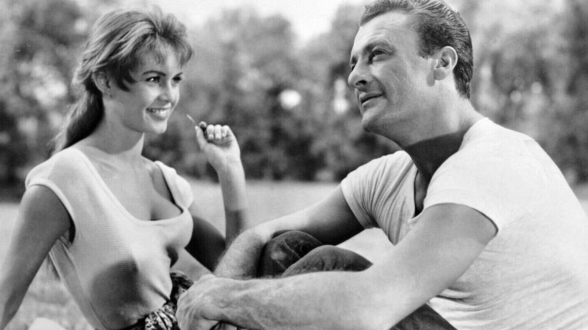 Backdrop for The Light Across the Street