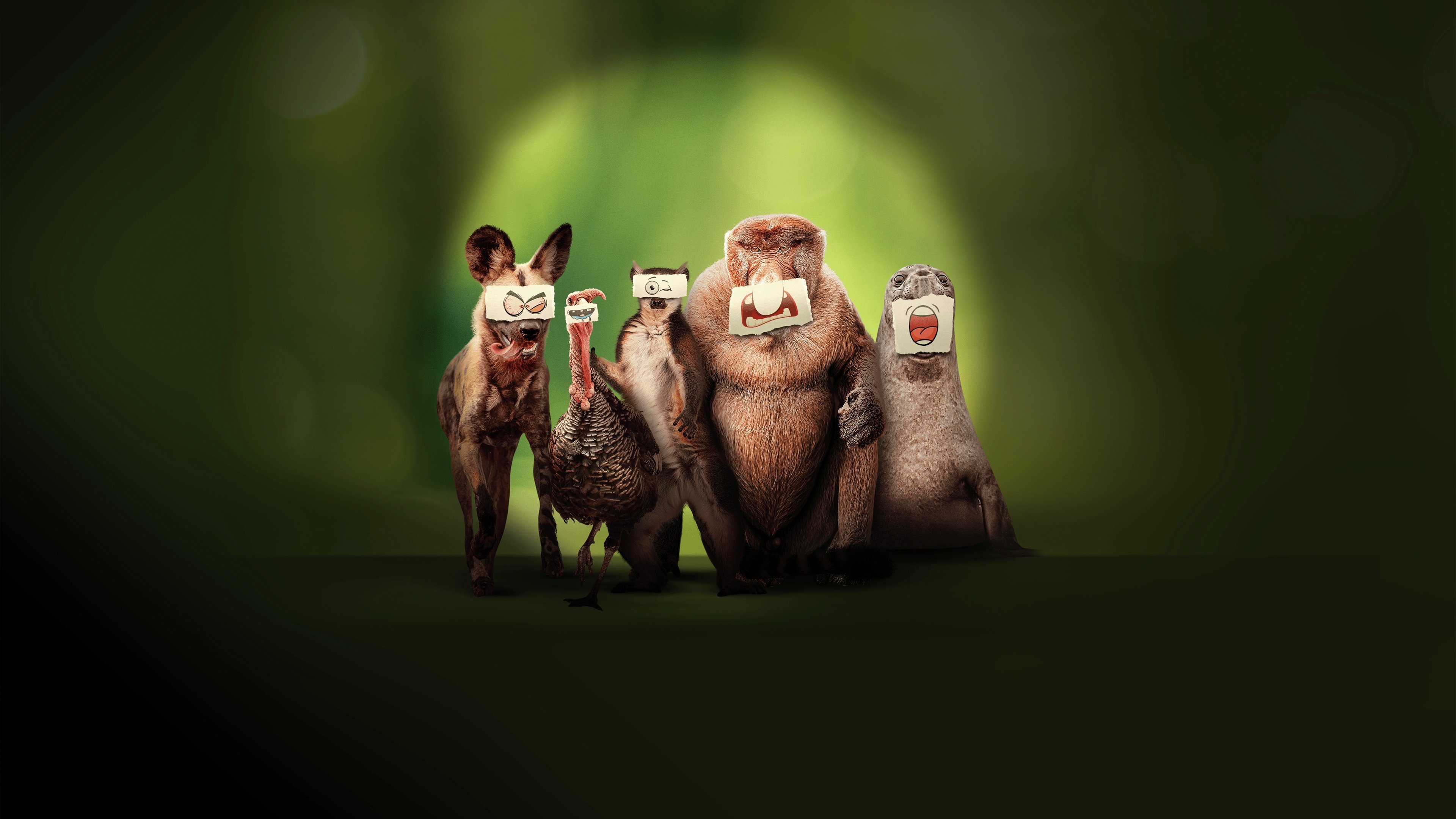 Backdrop for Underdogs