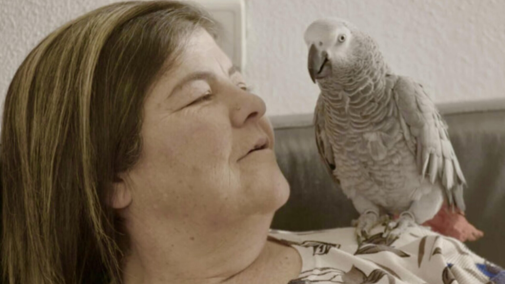 Backdrop for The Prostitution Monologues