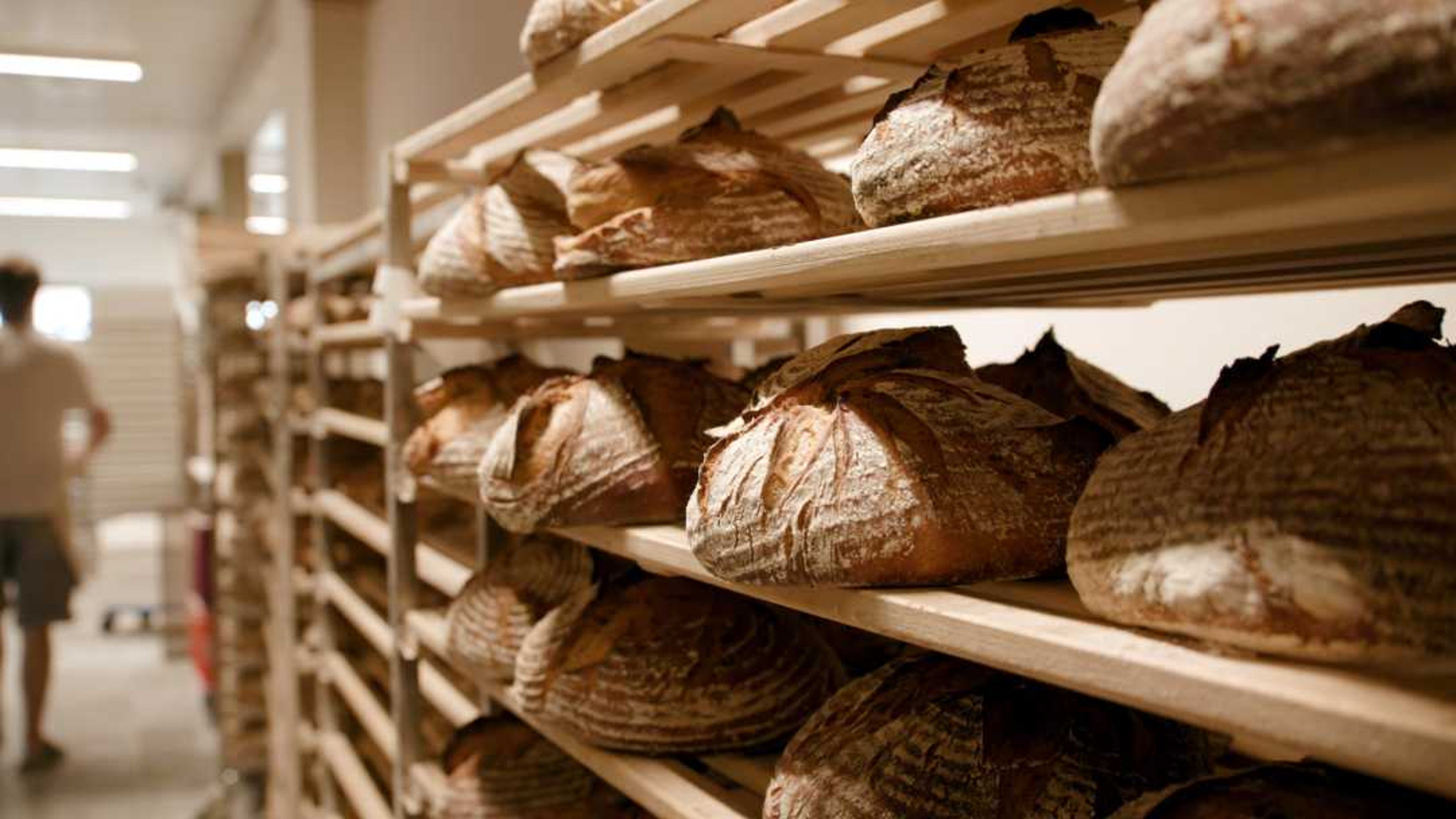 Backdrop for Bread: An Everyday Miracle