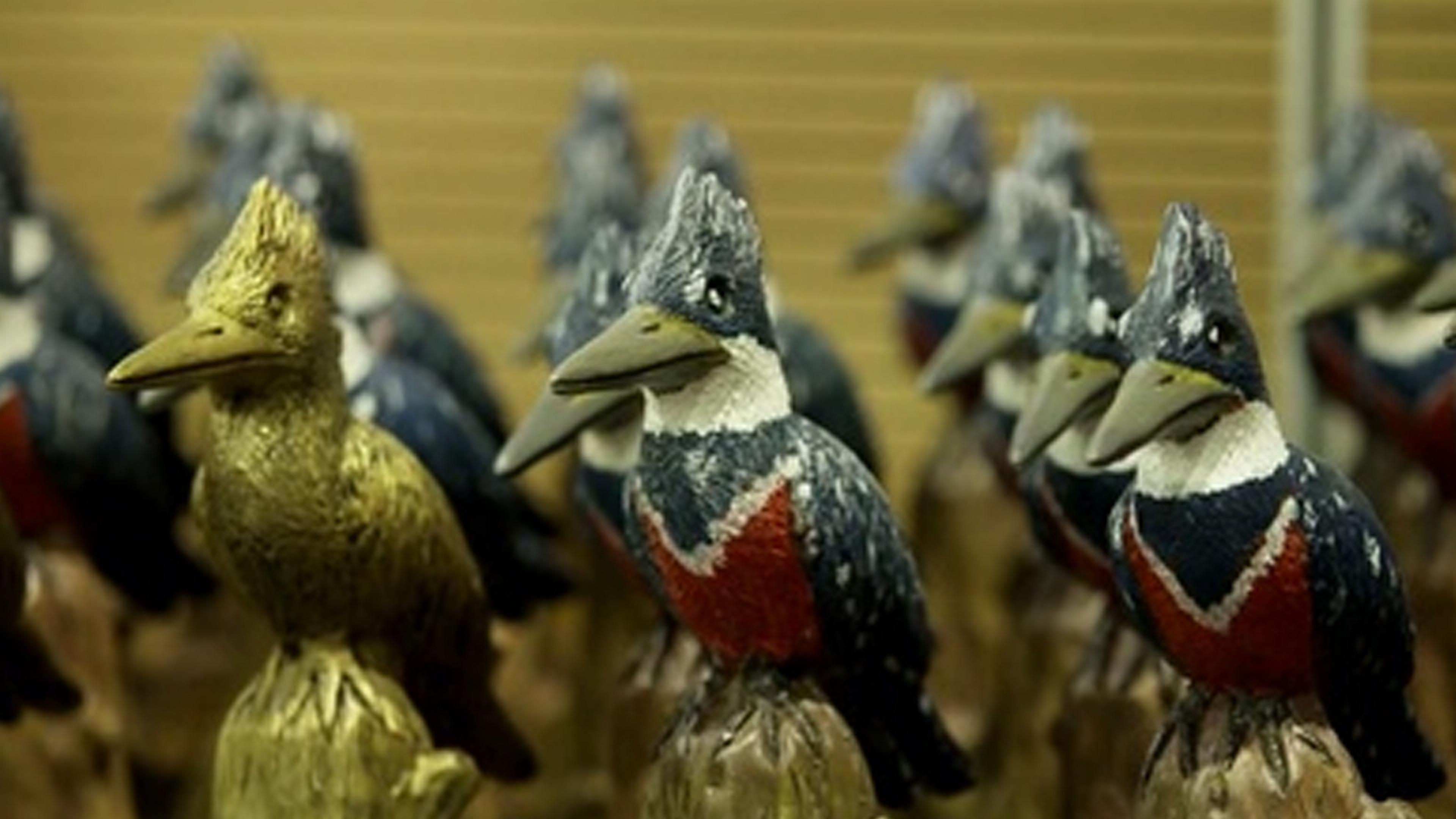 Backdrop for Los ganadores