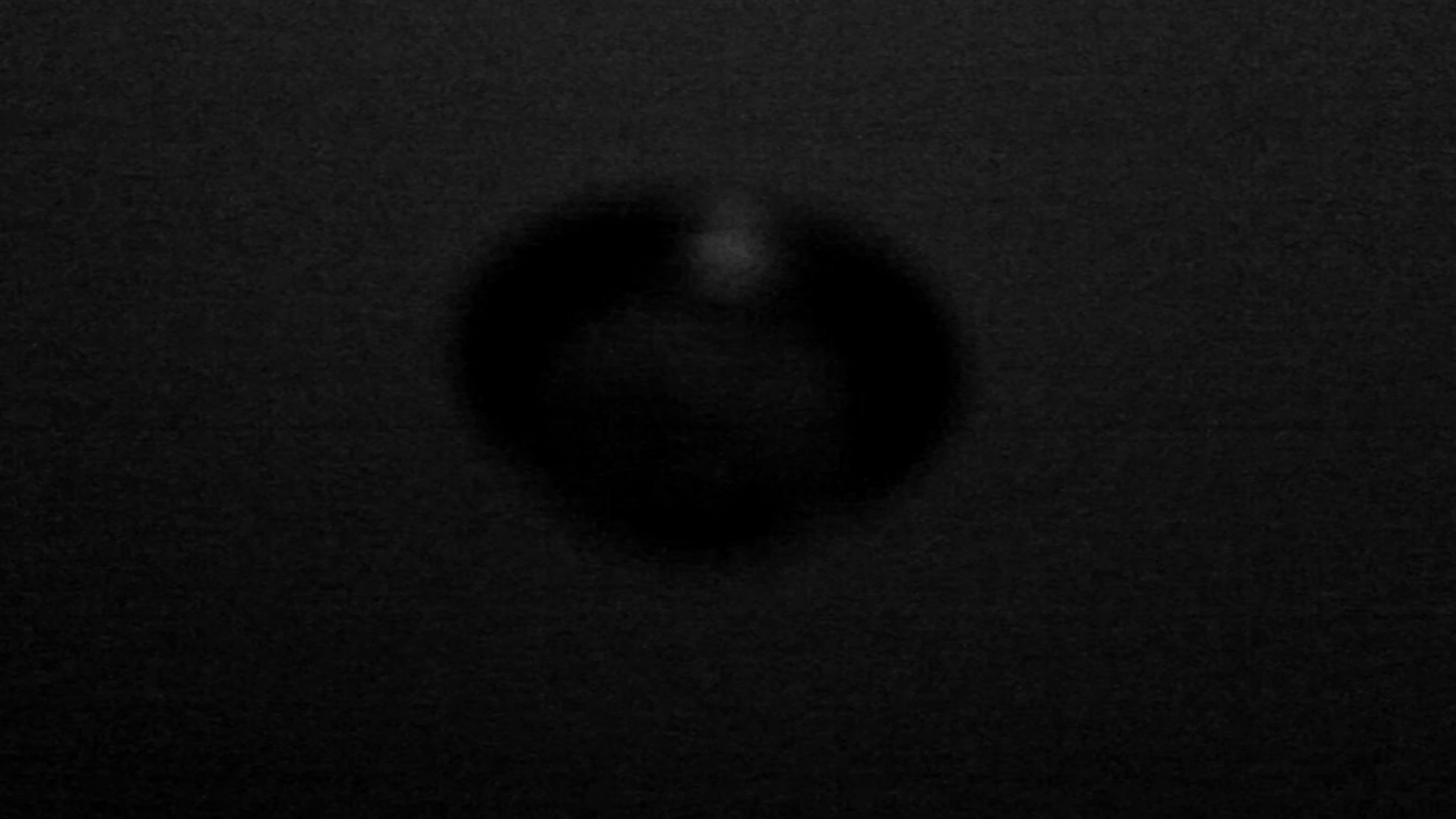 Backdrop for a loving home