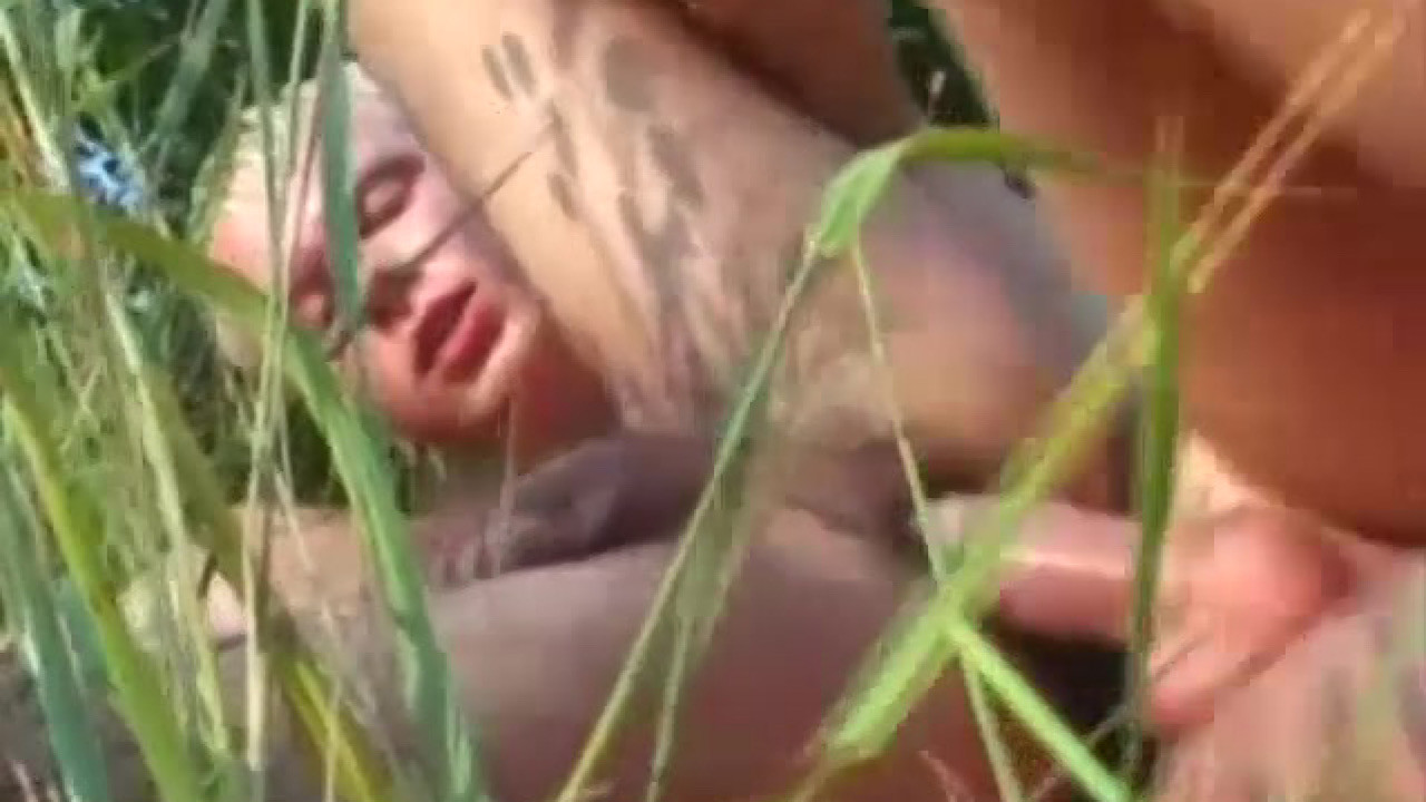 Backdrop for Sunny Day