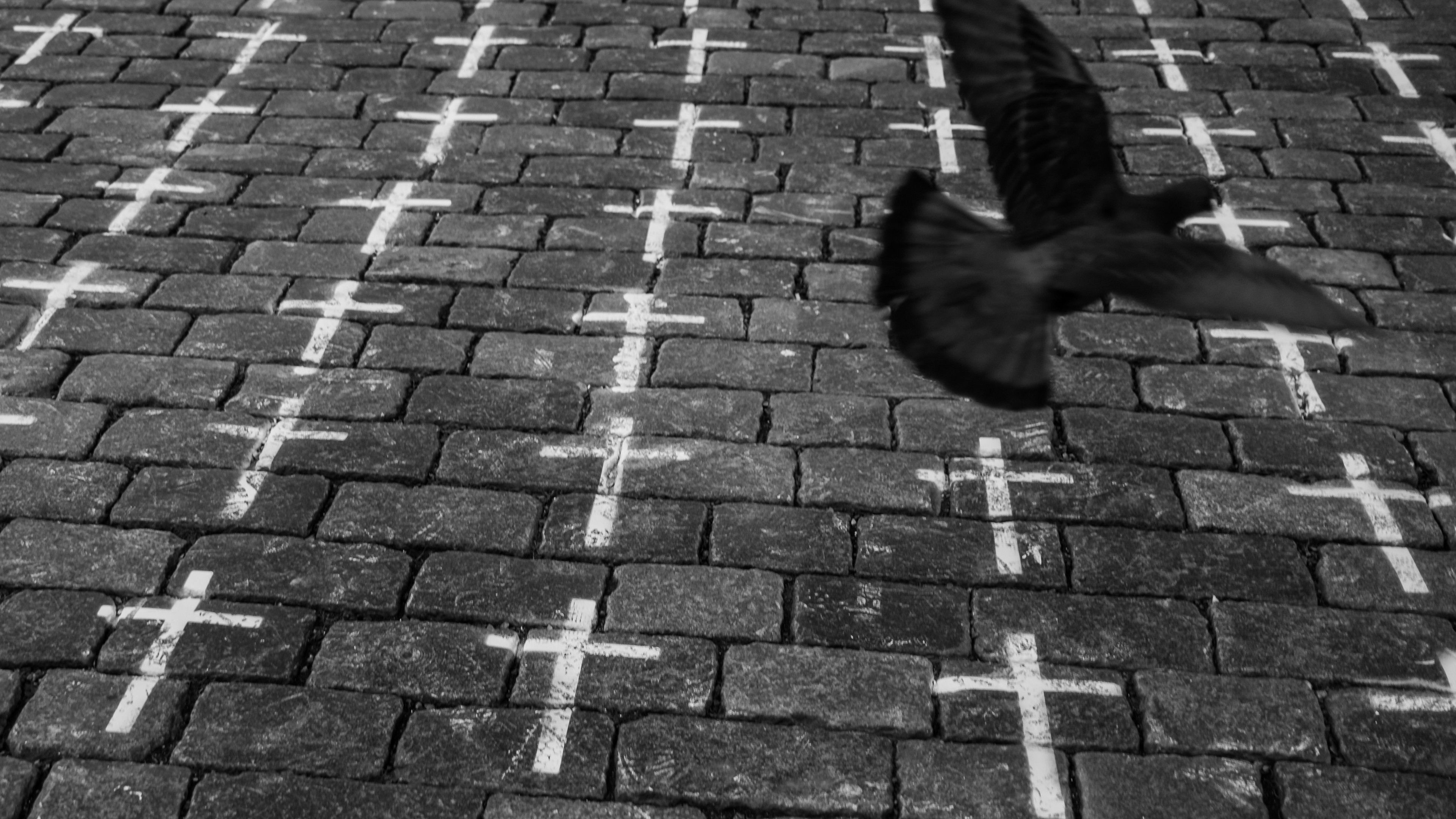 Backdrop for The Great Nothing