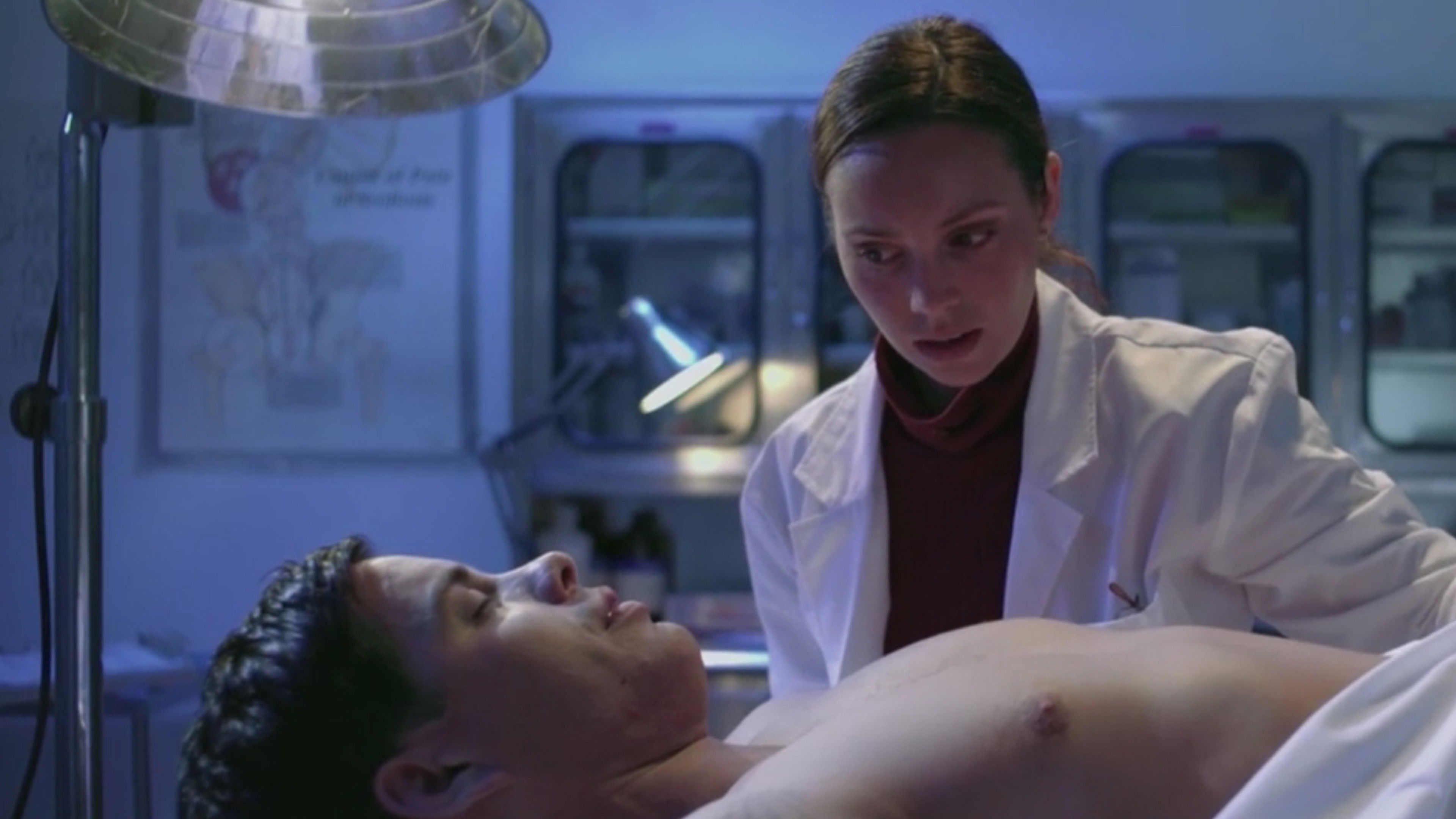 Backdrop for Still Life