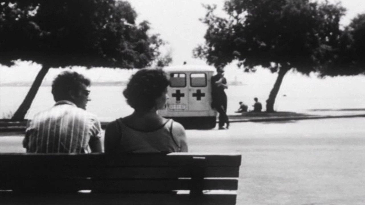 Backdrop for The Focus