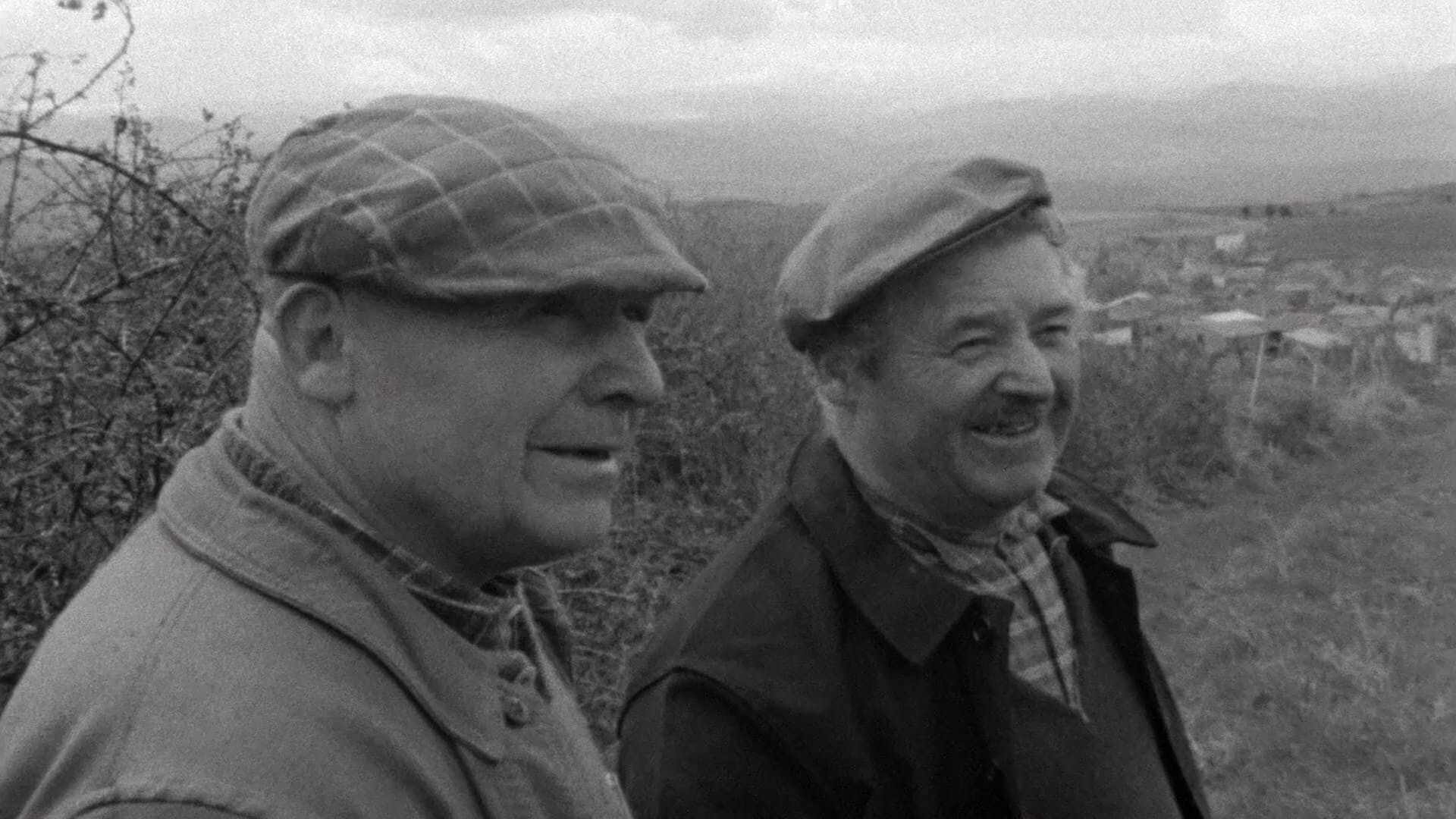 Backdrop for The Sorrow and the Pity