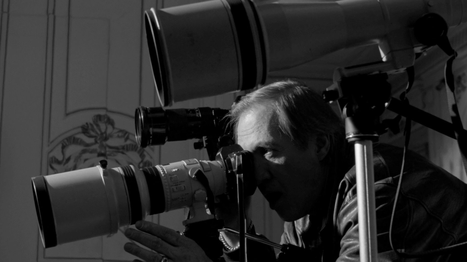 Backdrop for The Trace of Lynx