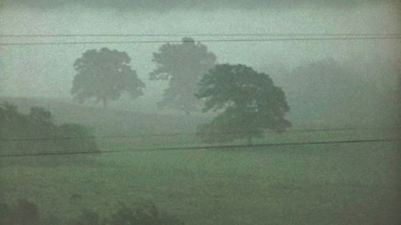 Backdrop for Fog Line