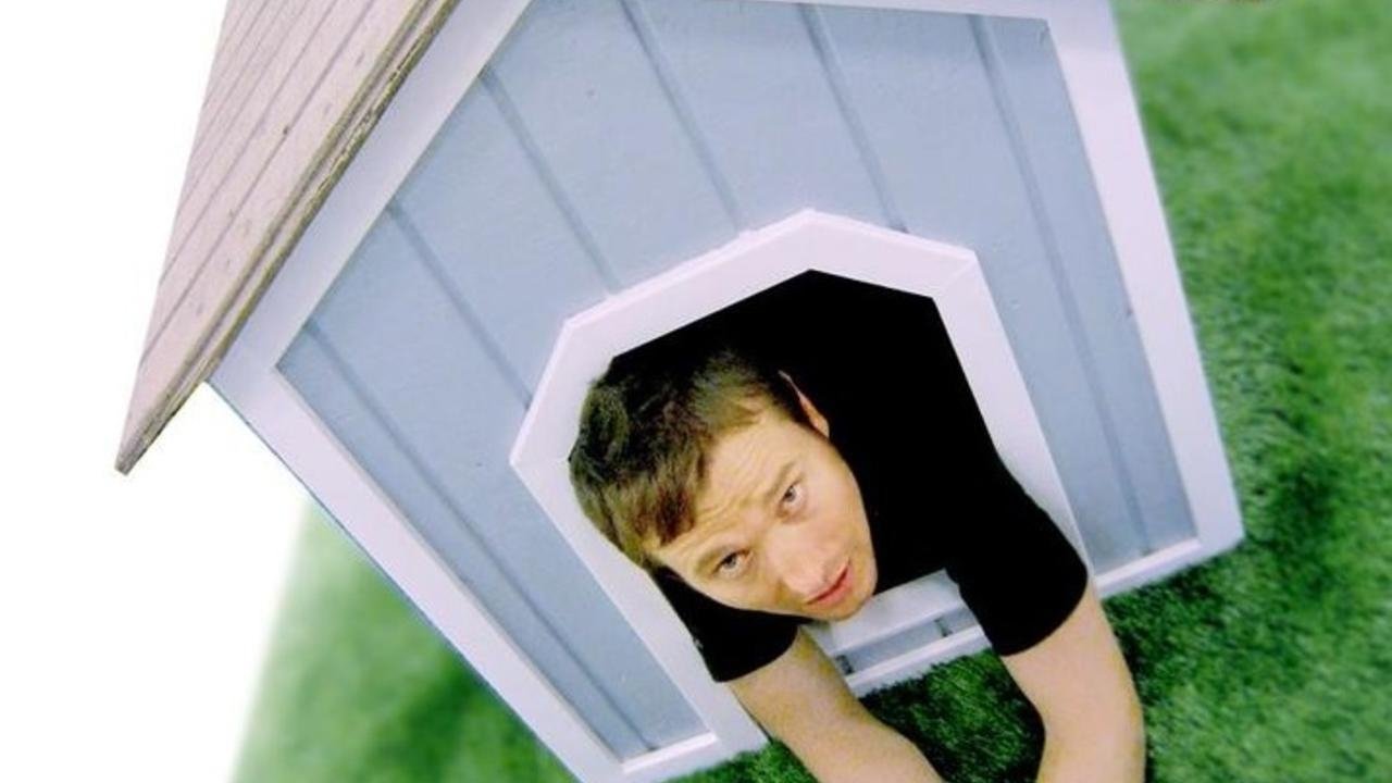 Backdrop for Doggie Heaven