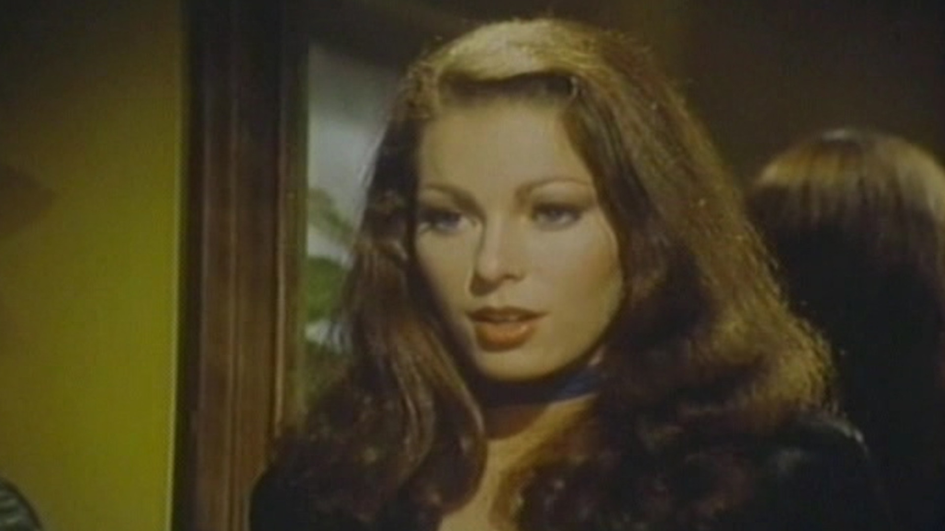 Backdrop for High School Memories