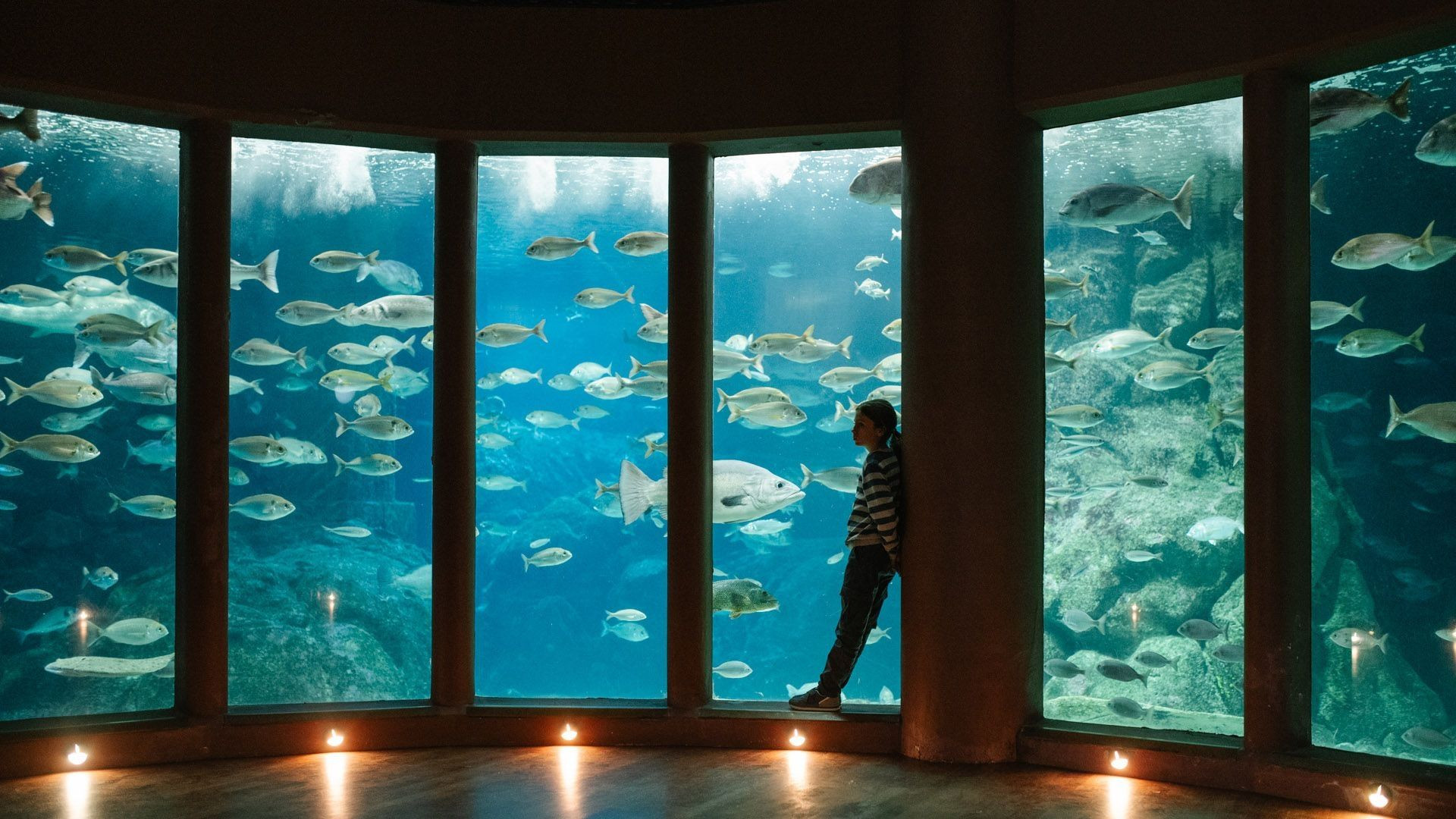 Backdrop for Leo & Lou