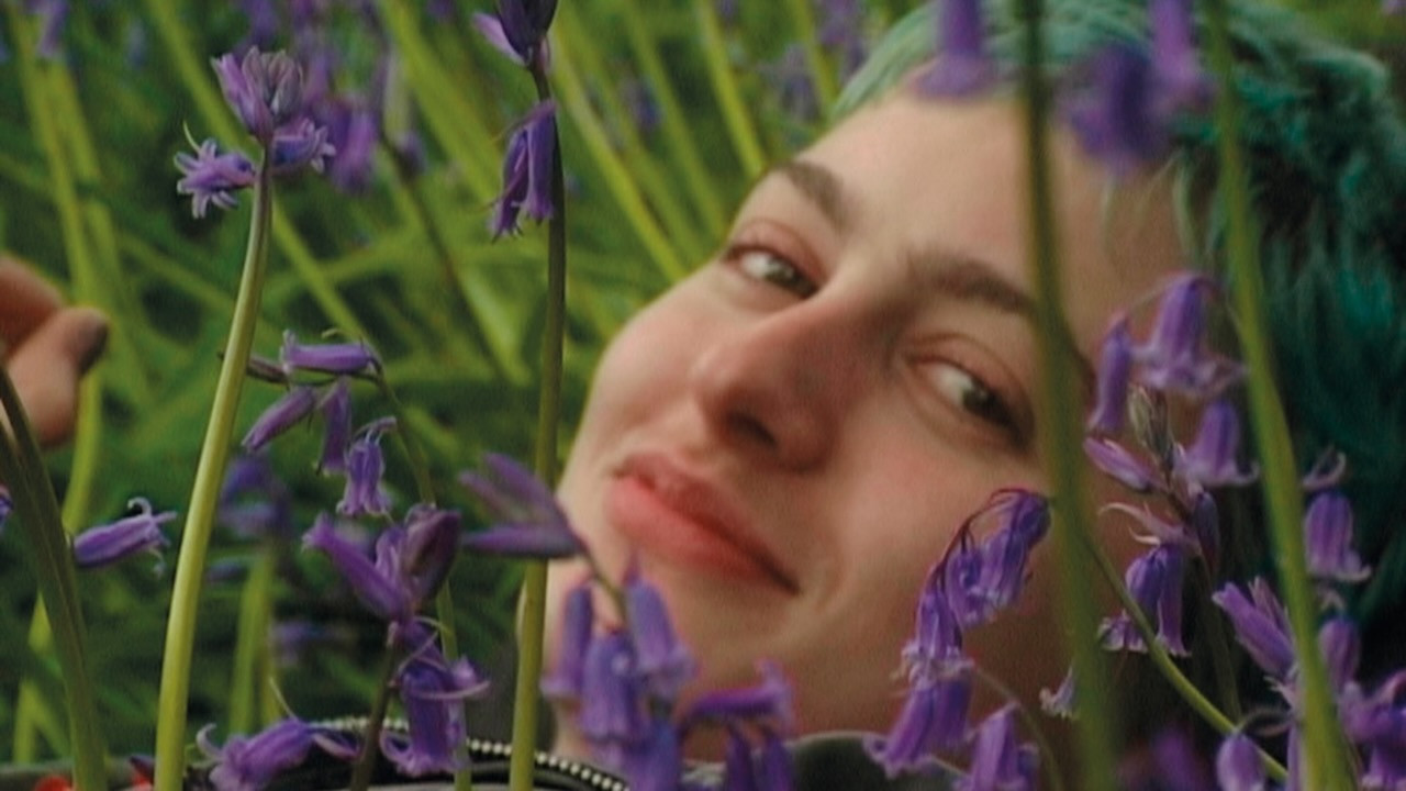 Backdrop for Blue Violet