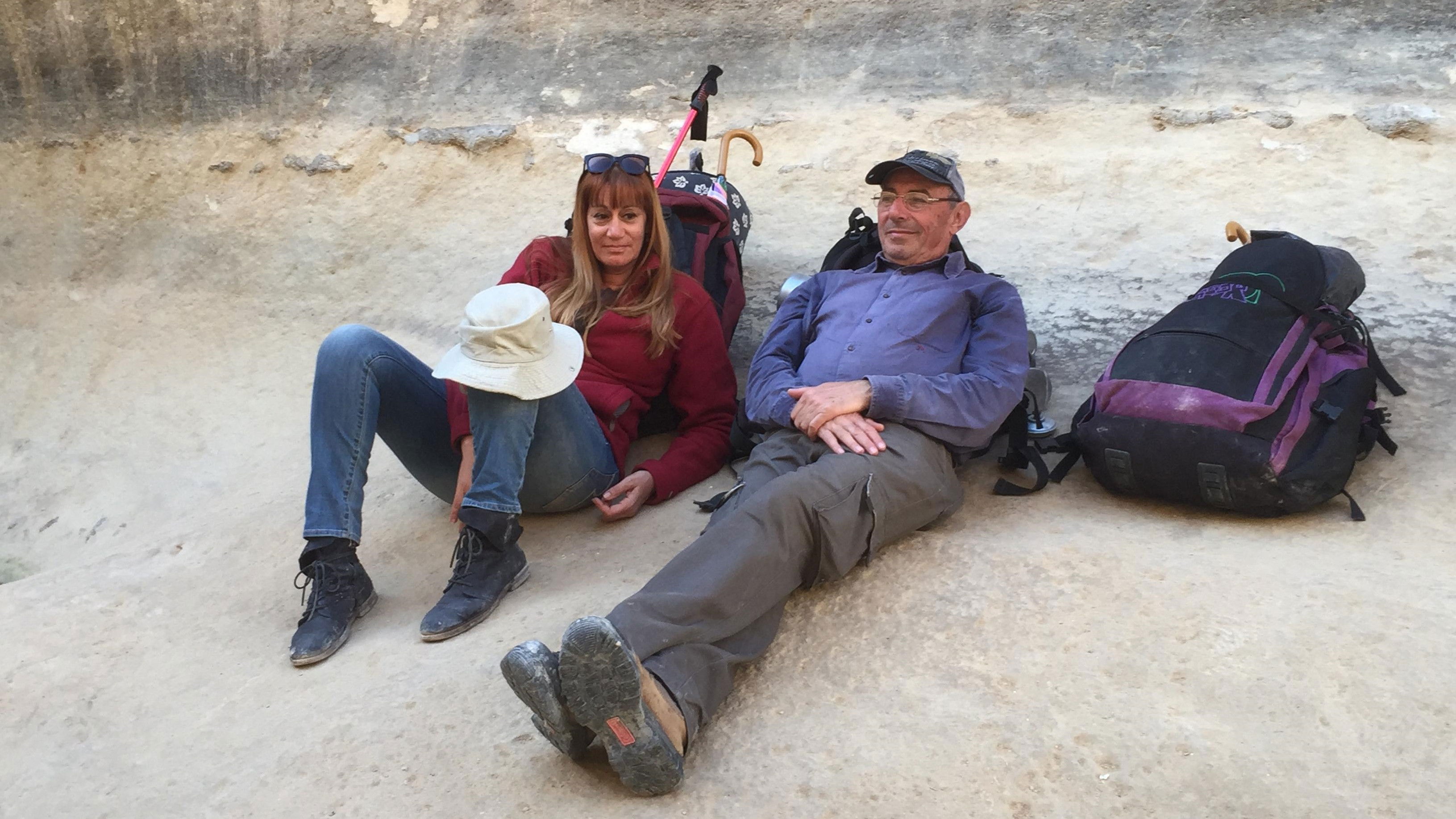 Backdrop for Morning Trail