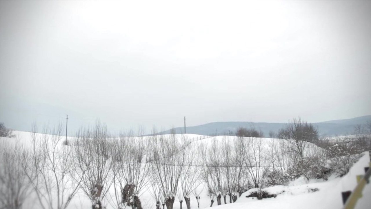 Backdrop for The Devil Within