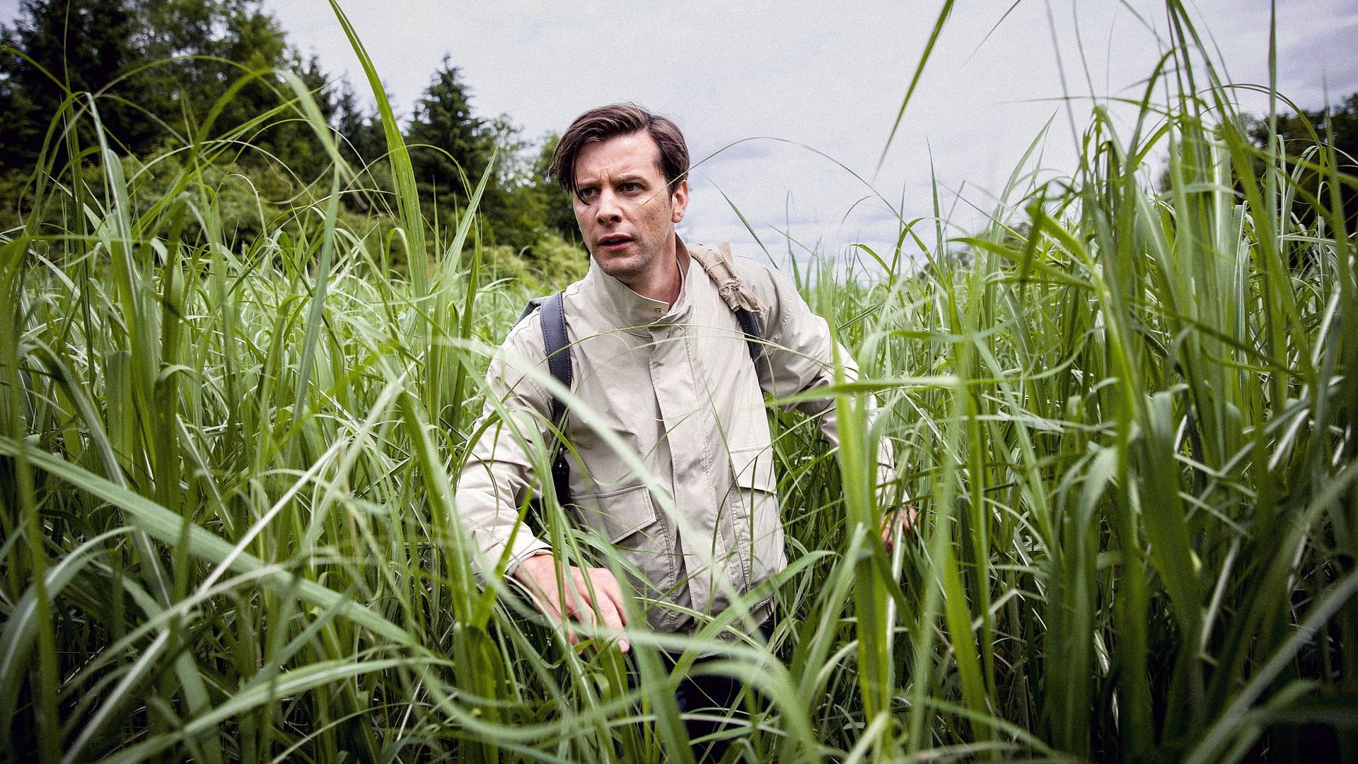 Backdrop for Europe's Deadliest Border: Czechoslovakia's Iron Curtain