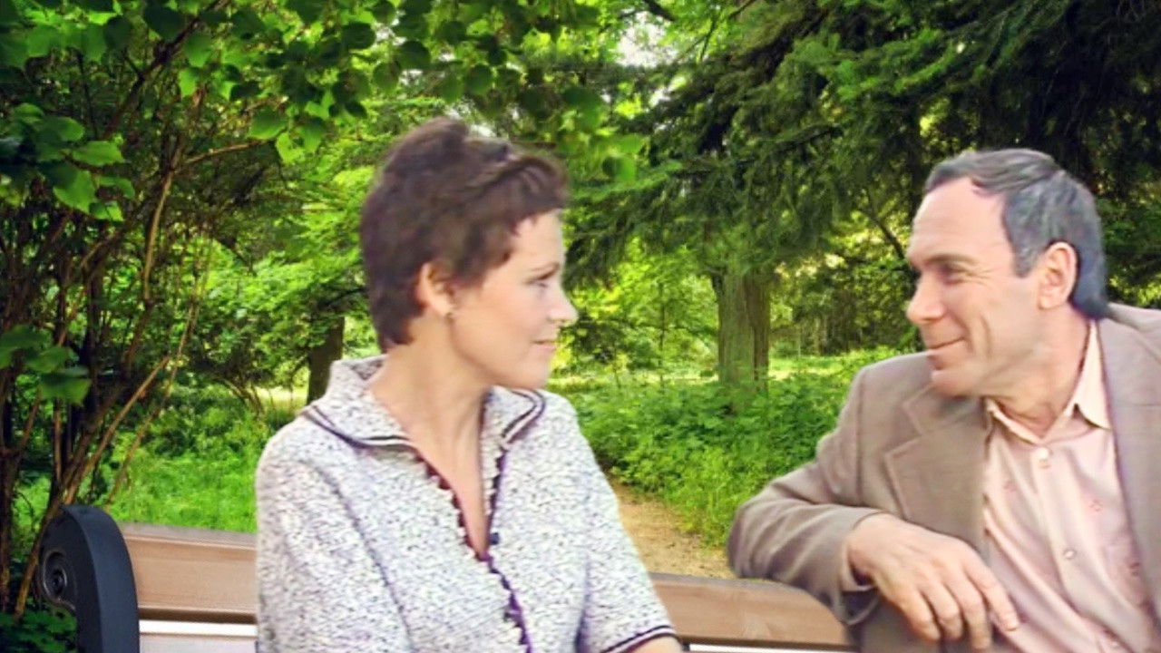 Backdrop for In Transit