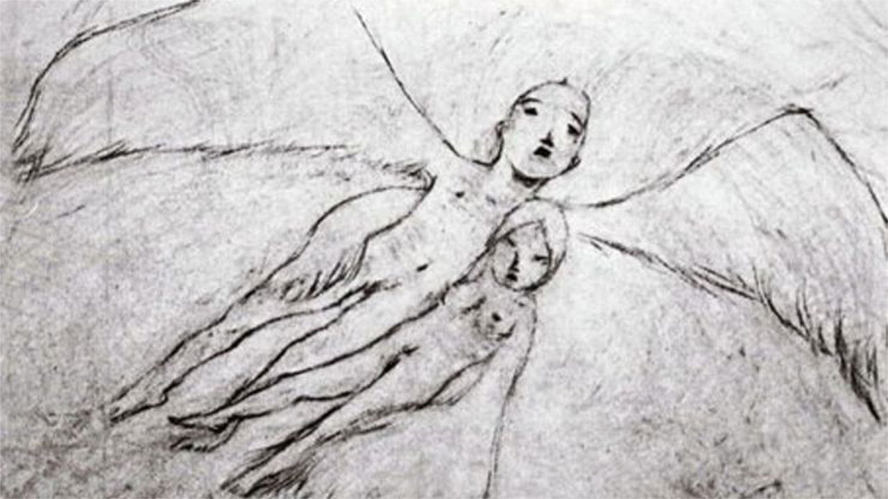 Backdrop for A Feather Stare at the Dark