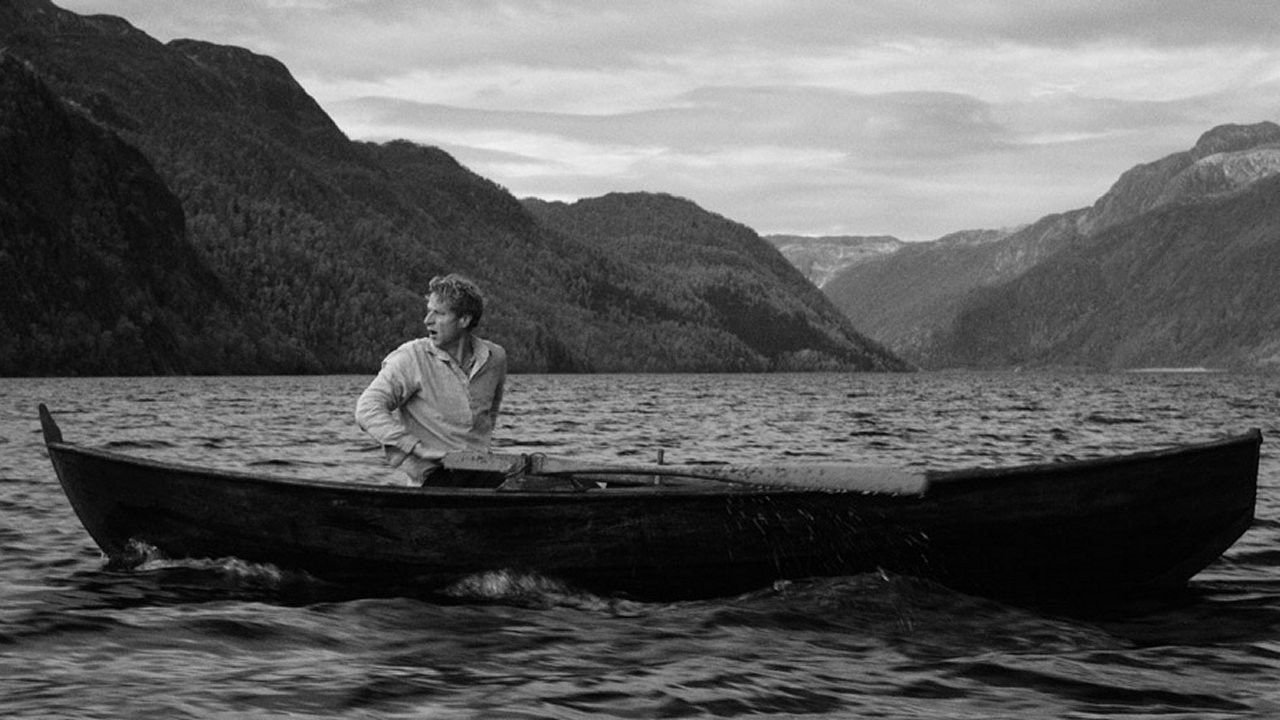 Backdrop for The Birds