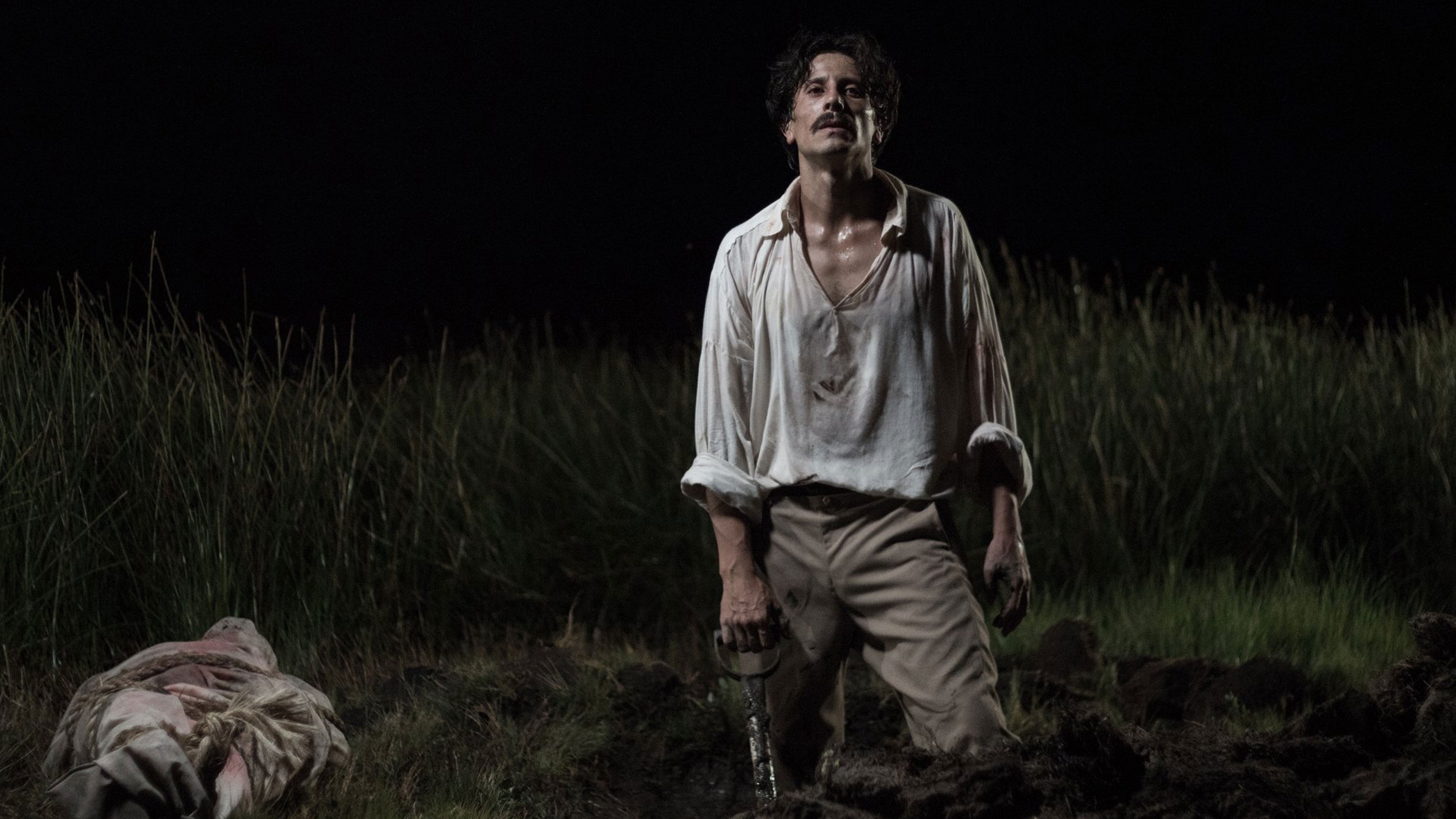 Backdrop for Venado tuerto