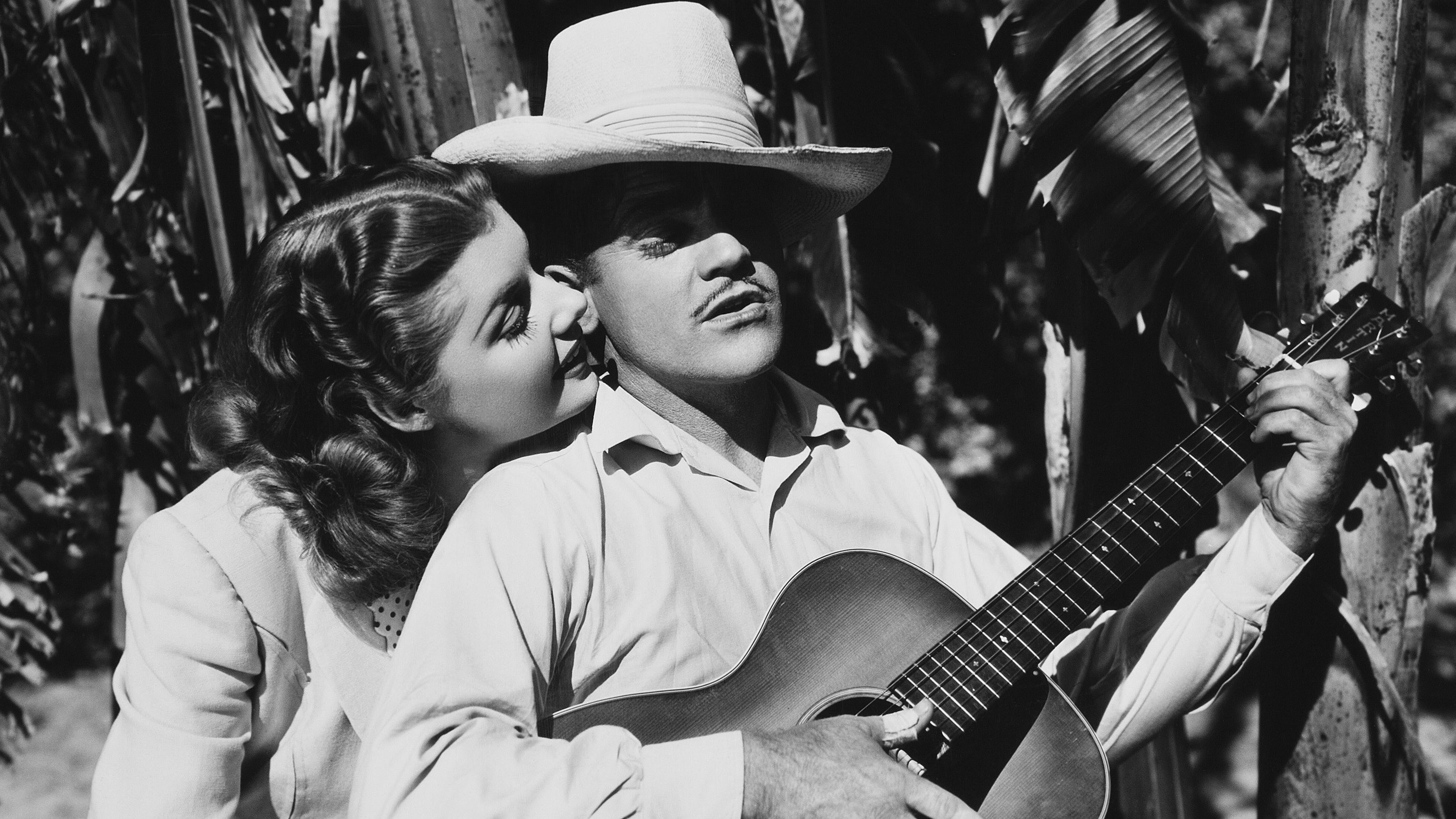 Backdrop for Torrid Zone