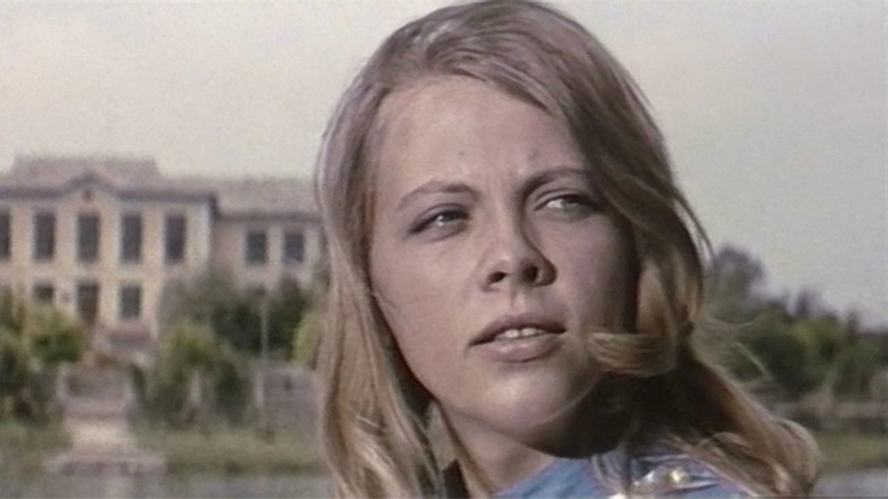 Backdrop for Between the High Crops