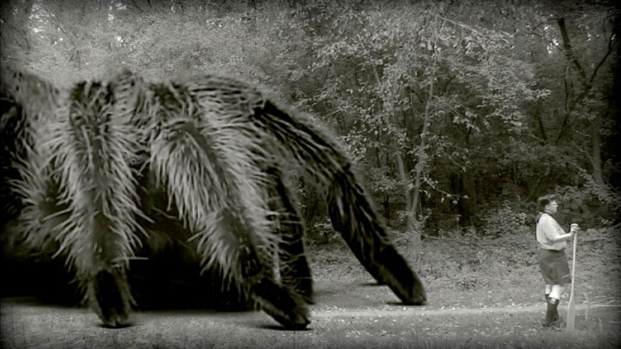 Backdrop for The Giant Spider