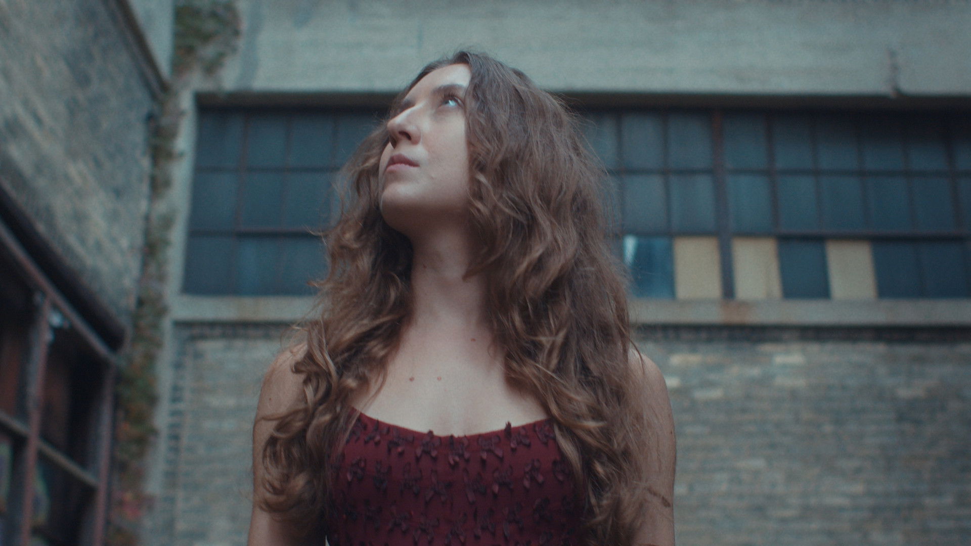 Backdrop for Che Si Può Fare?