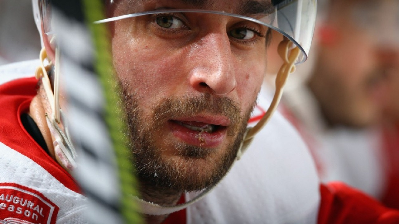 Backdrop for De danske NHL-stjerner