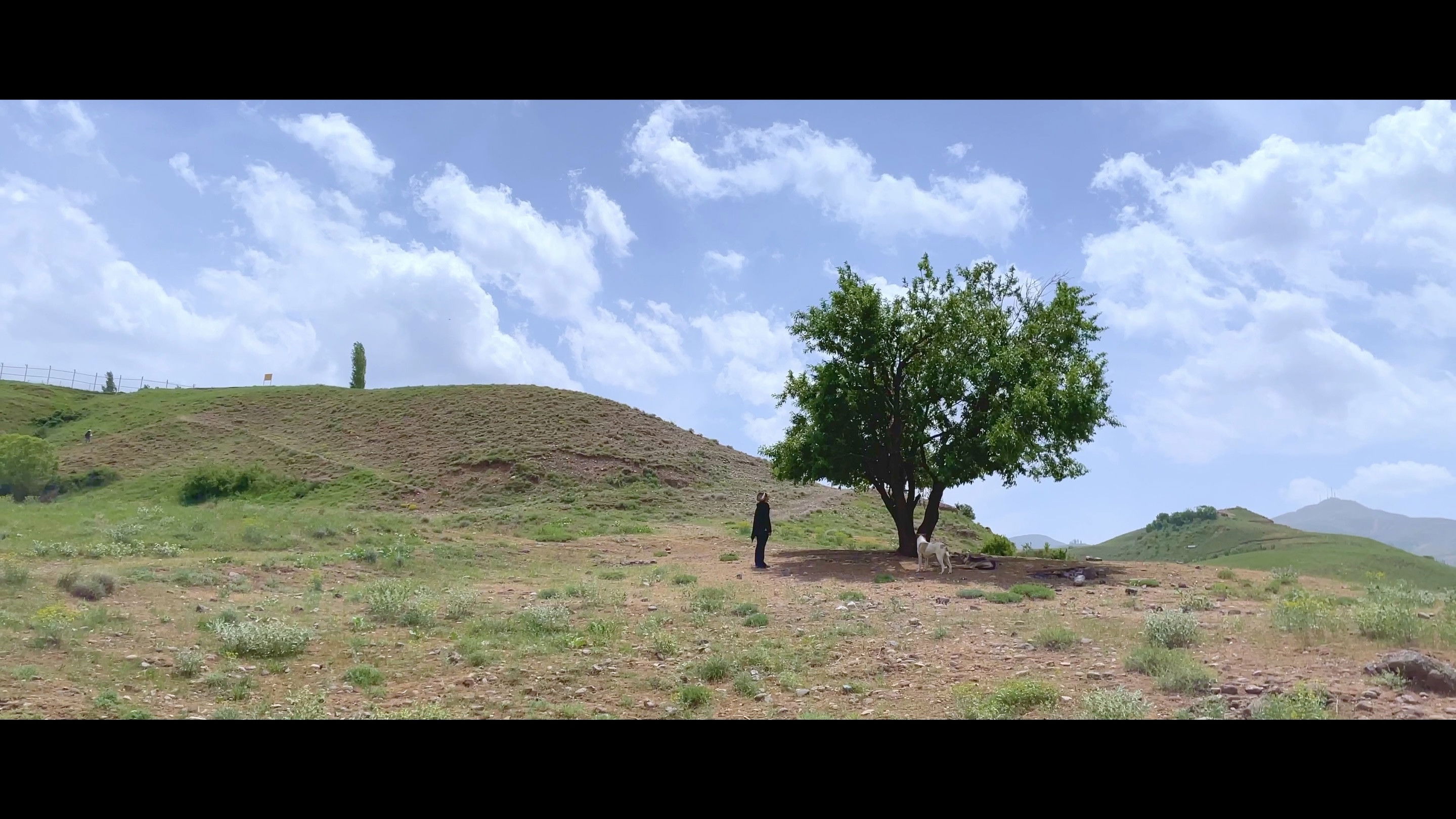 Backdrop for Instinct