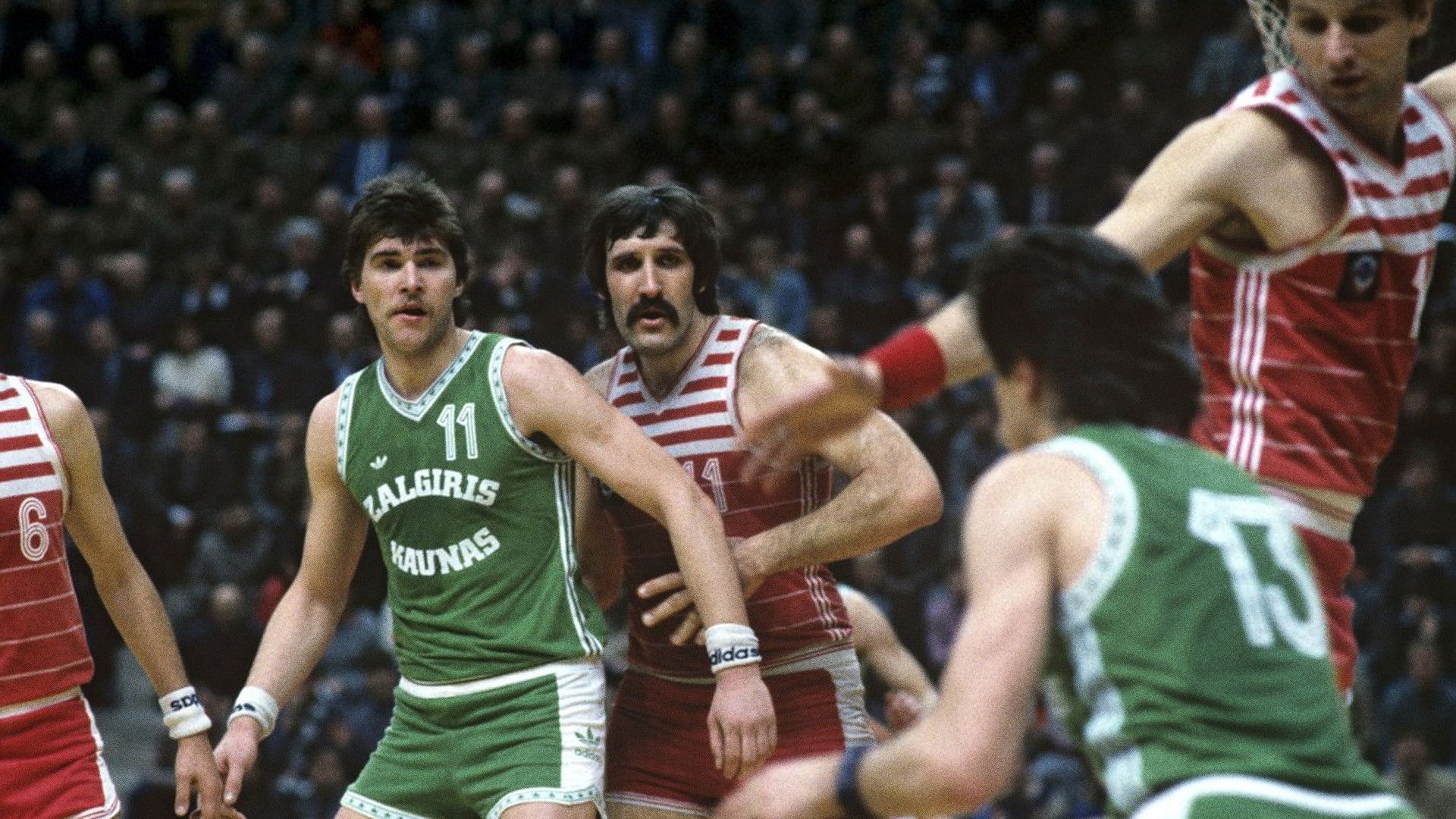 Backdrop for The Ticket