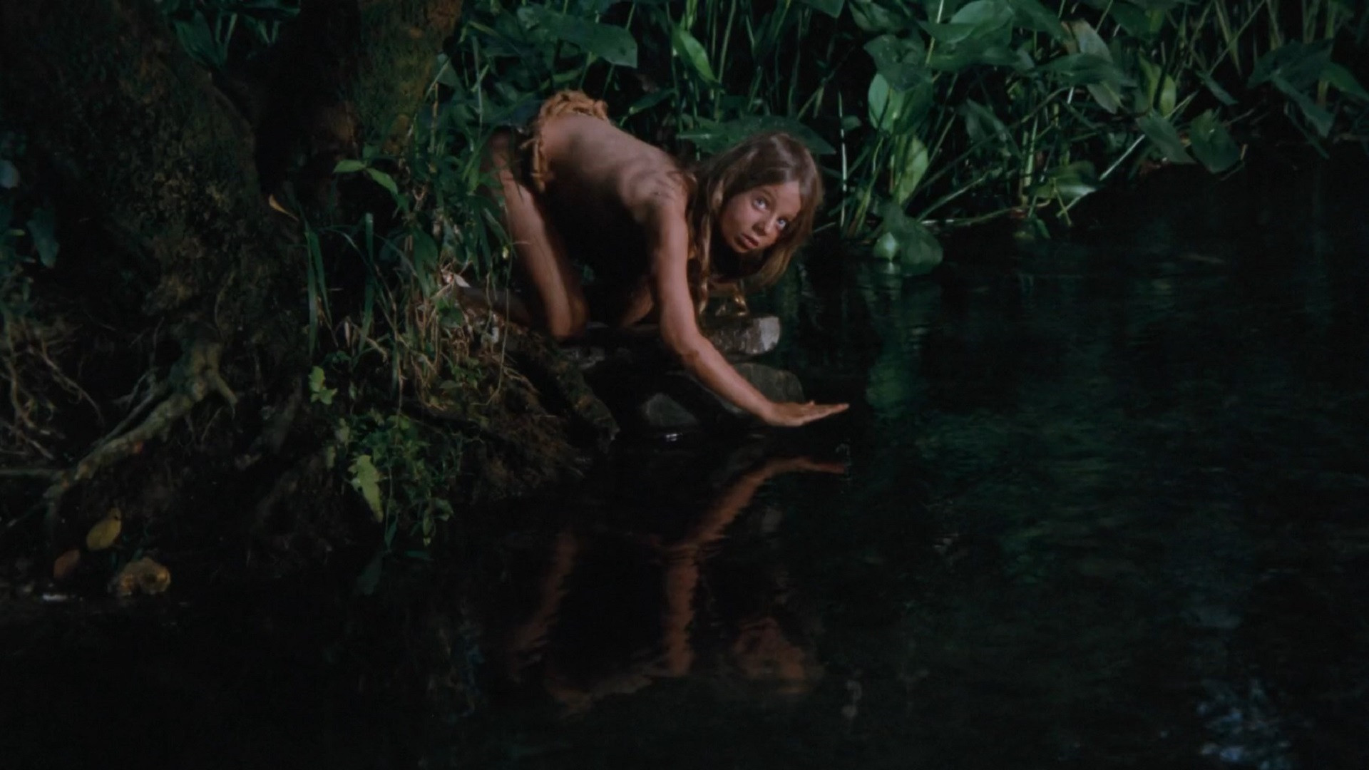 Backdrop for Gorilla's King