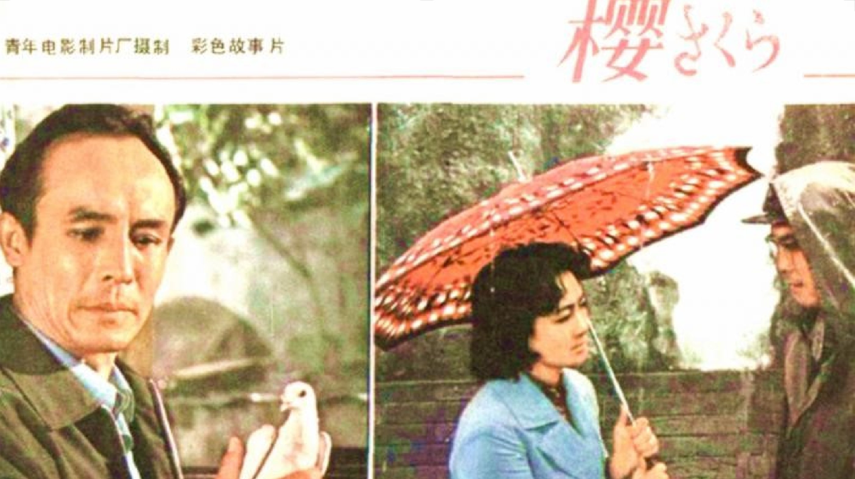 Backdrop for Cherry Blossom