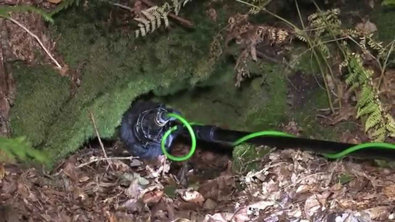 Backdrop for Korriganed