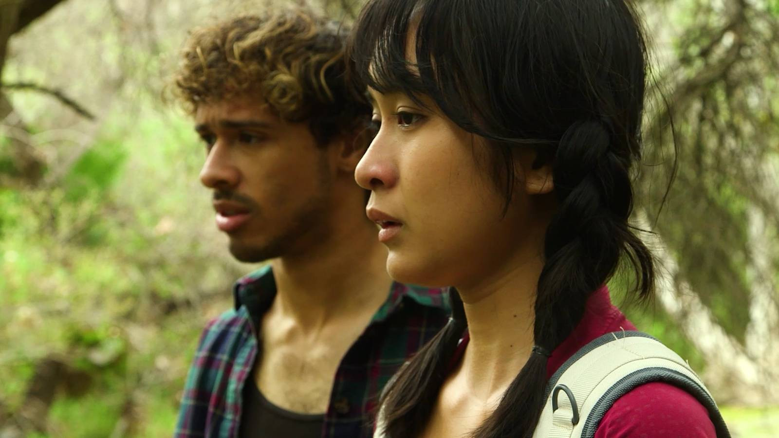 Backdrop for Maggots