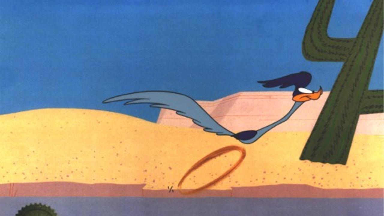 Backdrop for Chariots of Fur