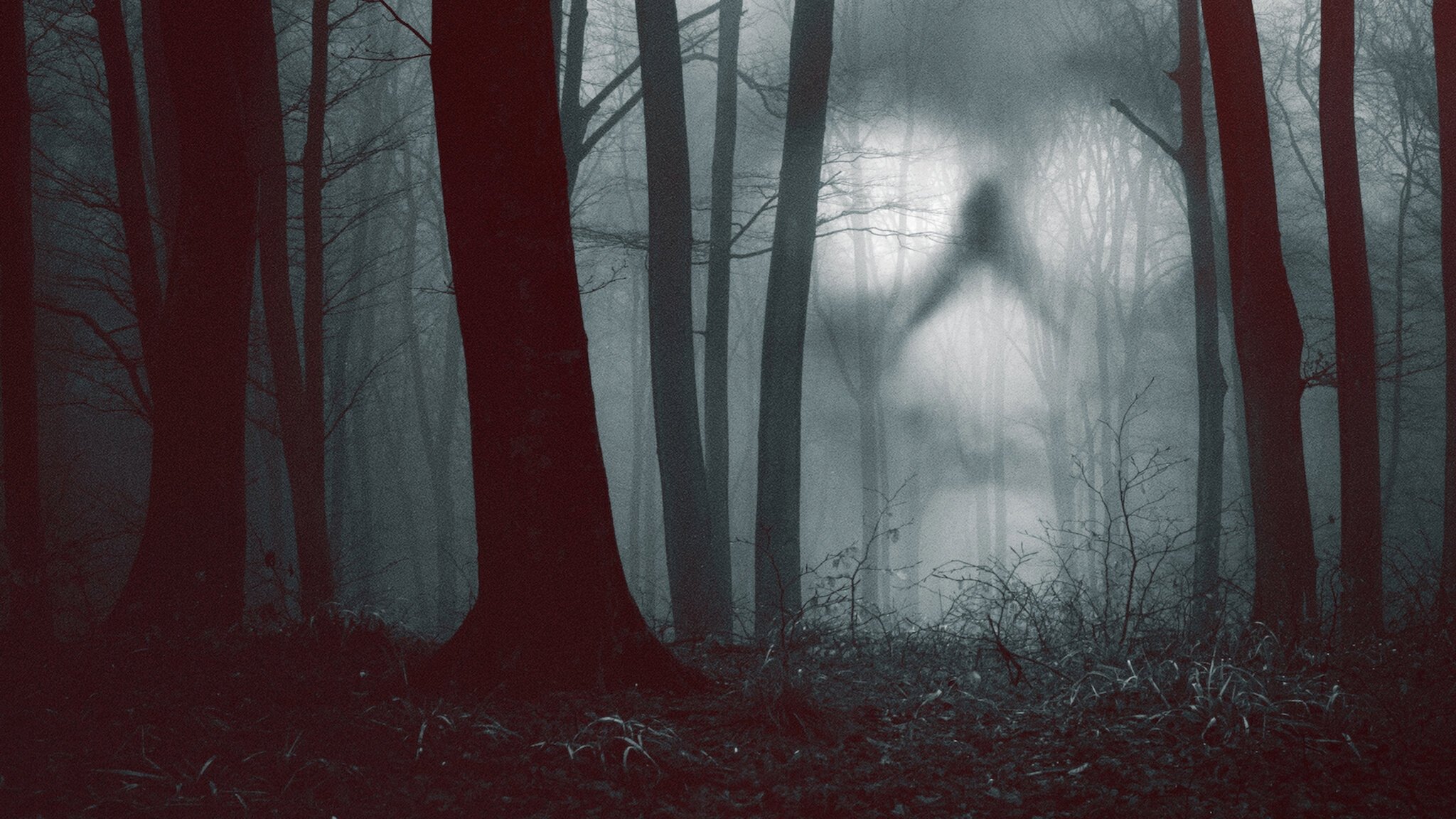 Backdrop for 28 Days Haunted