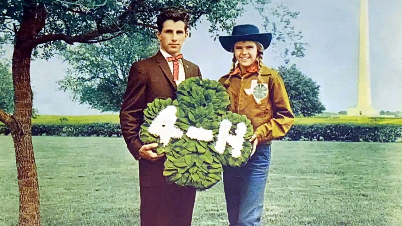 Backdrop for Tomboy and the Champ