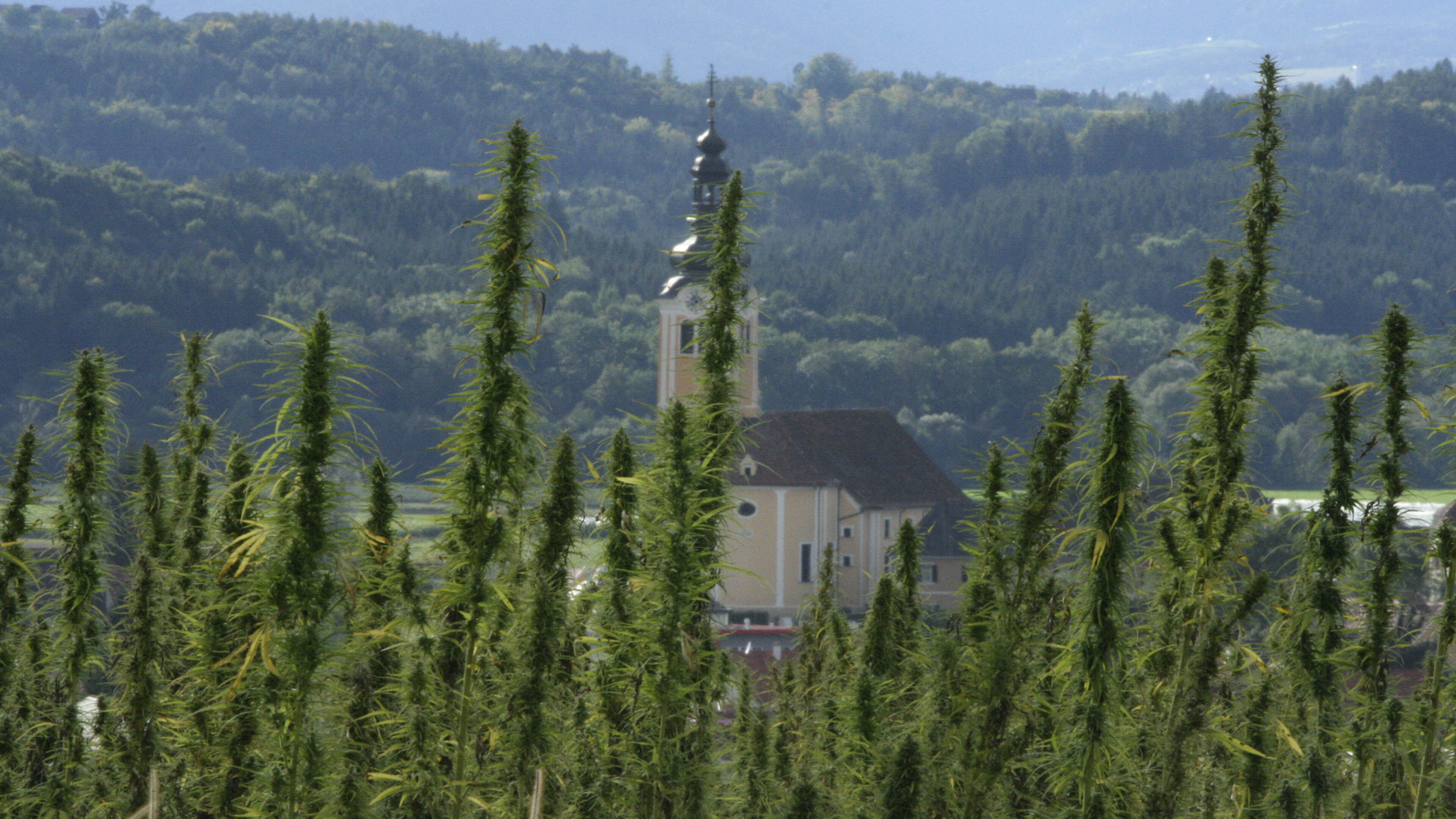 Backdrop for Zustandswechsel