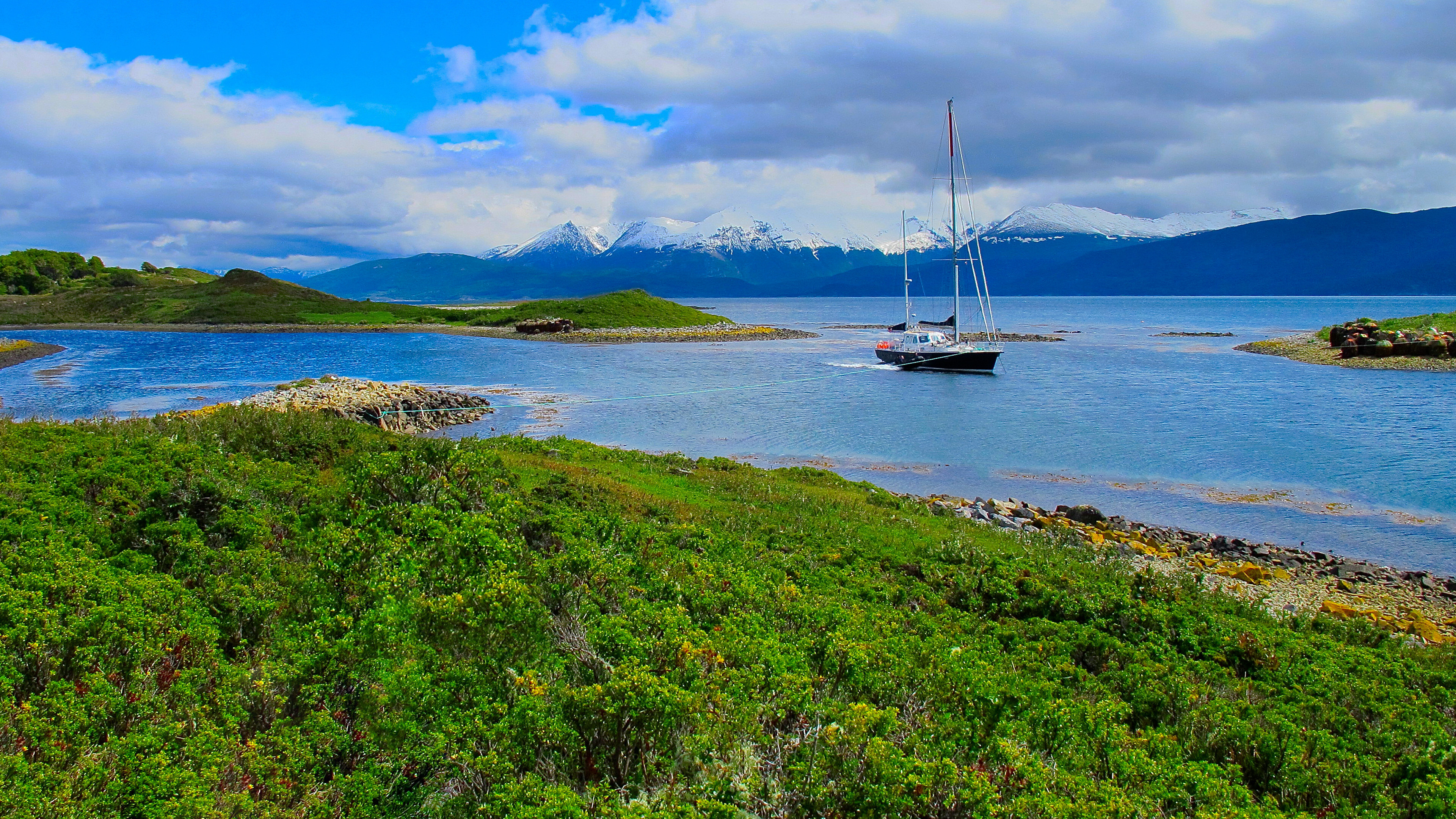 Backdrop for Une fleur dans le Pacifique
